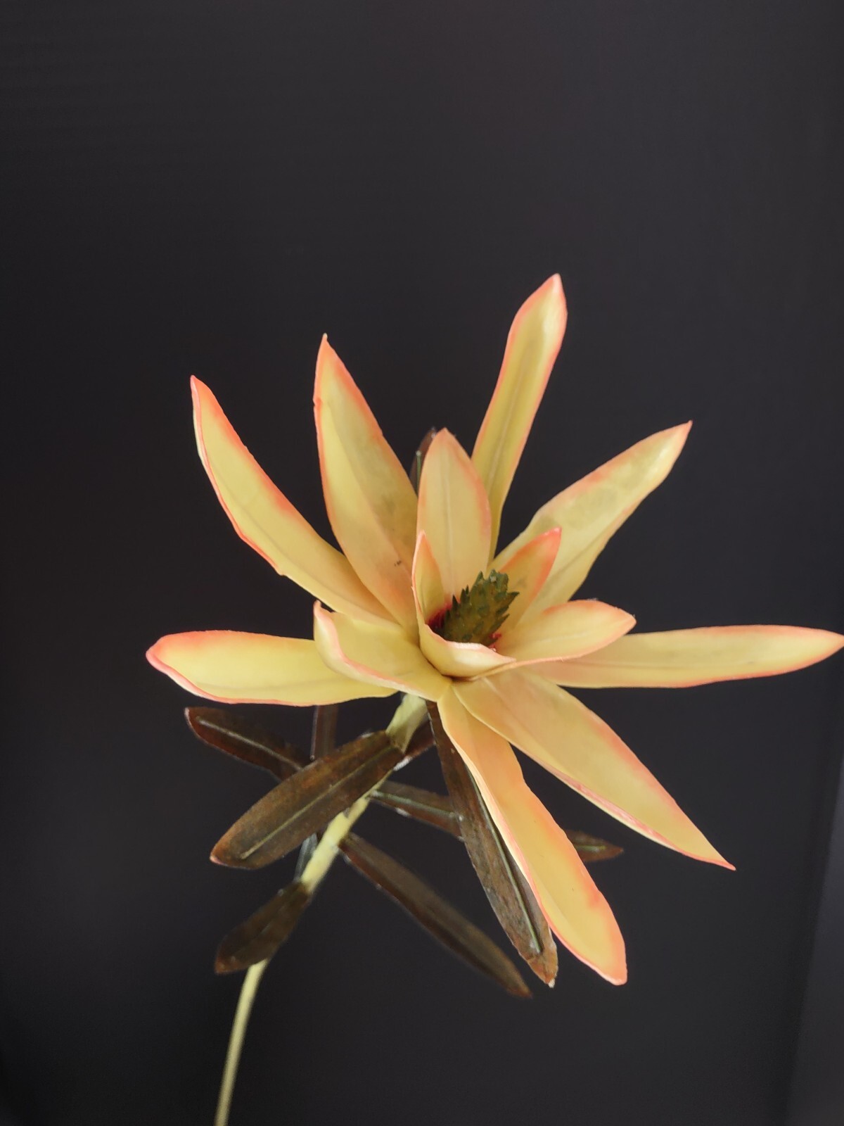 Artificial vintage star protea stems