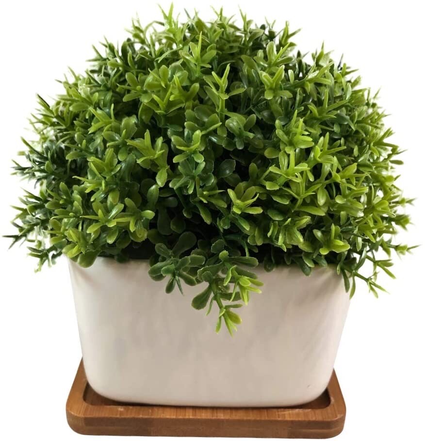 Peach Tree Farm Small Fake Plant Artificial Faux Greenery Clover with Tray