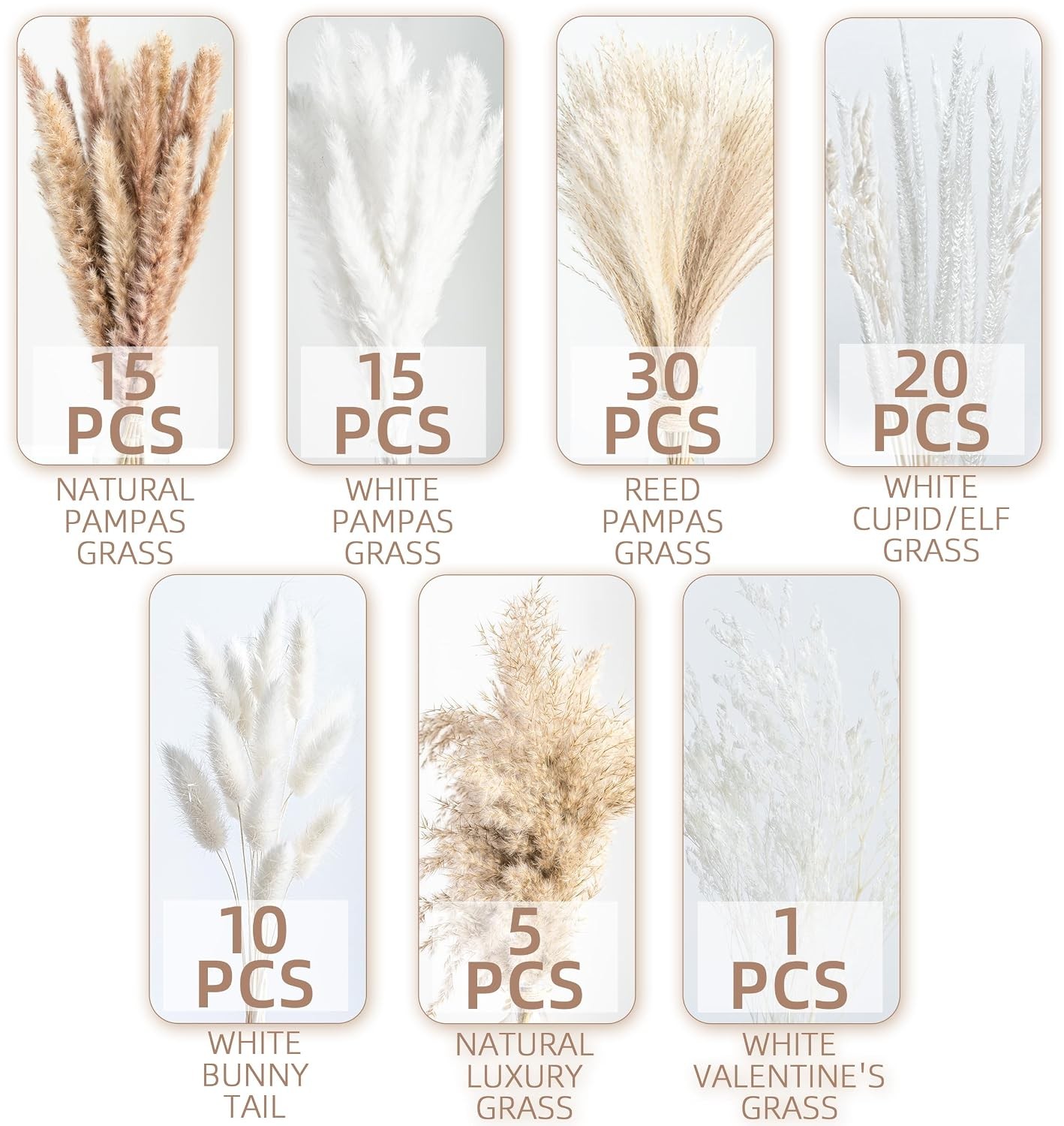 Dried Pampas Grass Phragmites Natural Boho Home Decor 96 Pcs Dried Flower