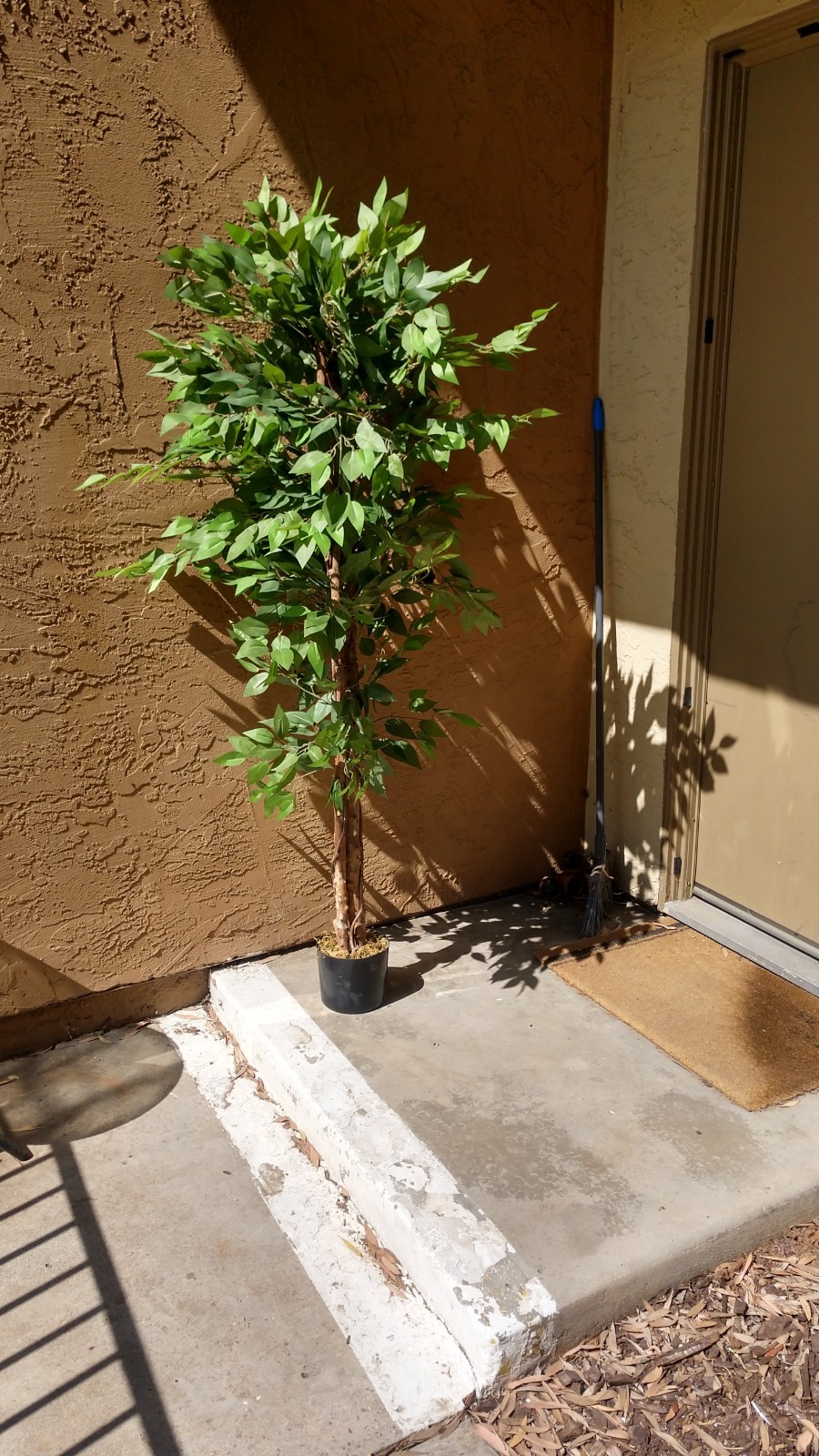 Pre-owned 6′ Artificial Ficus Tree, 2-Piece, Simple Piecing/Separation- Good