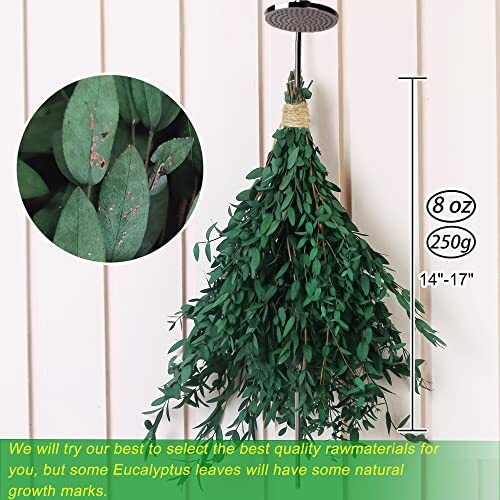 40+ Dried Eucalyptus Stems Real for Shower 15-25 PCS 17” 8OZ Preserved Fresh…