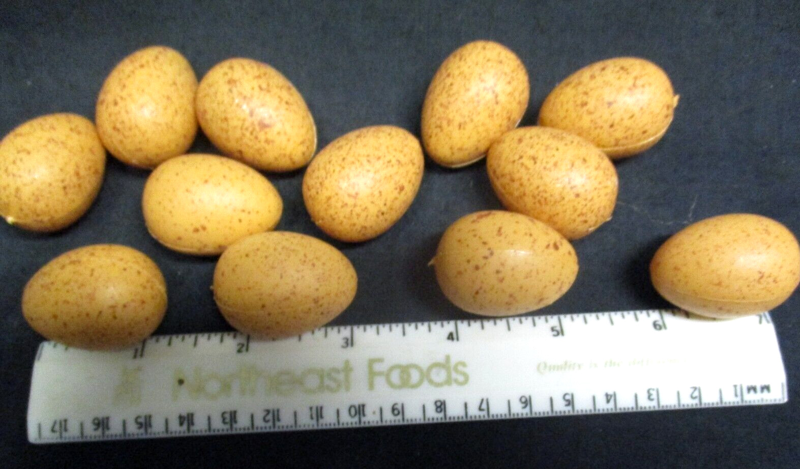 Lot 36 Artificial Speckled Bird Eggs ~ (12) 1″ & (24) 1/4″ & Assorted Feathers