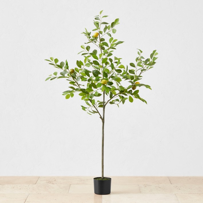 Faux Lemon Tree, 3′-5′ Lifelike Decor-Williams Sonoma|43585