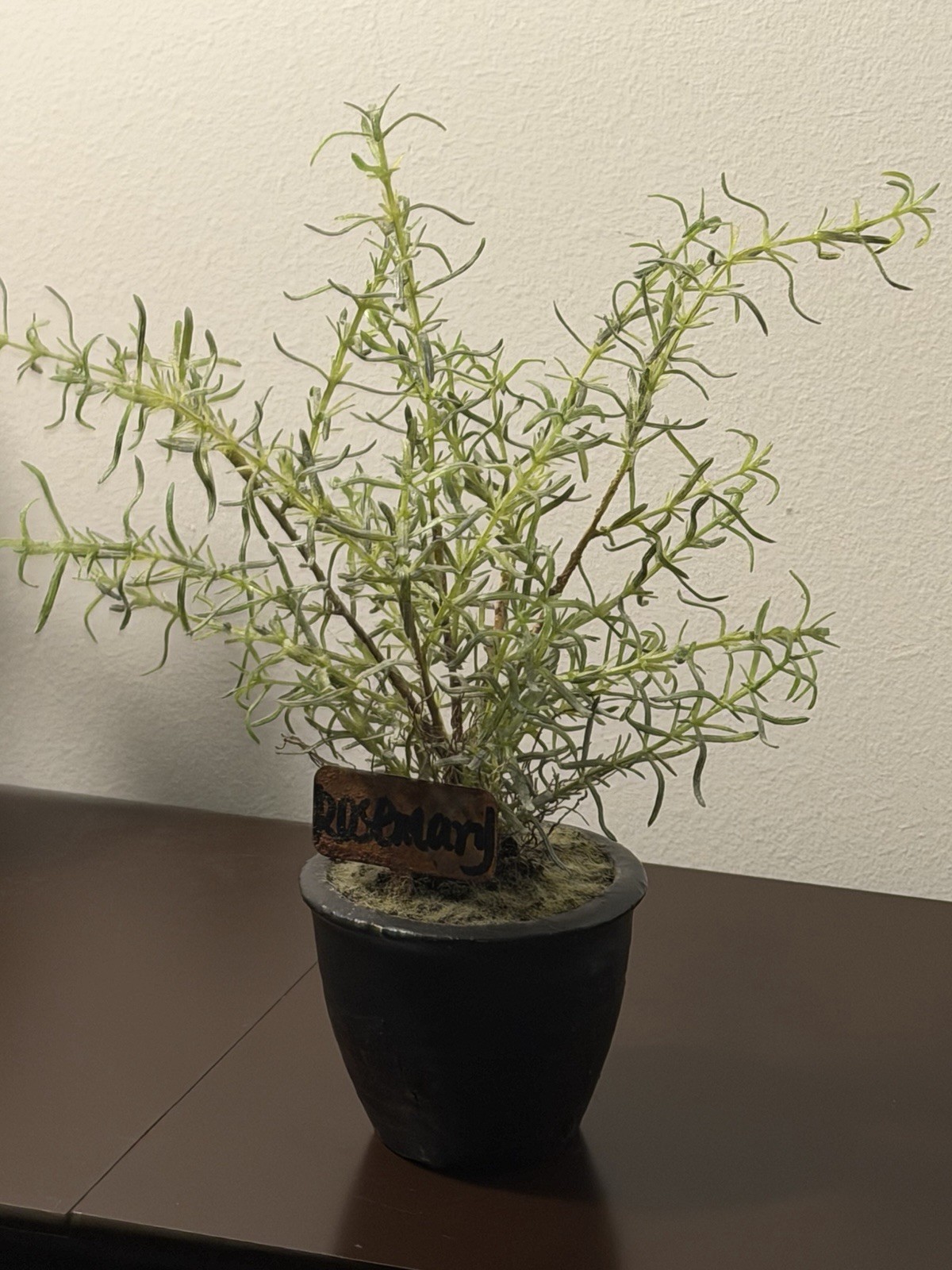 Rustic Artificial Rosemary Potted Plant – Perfect for Farmhouse Decor