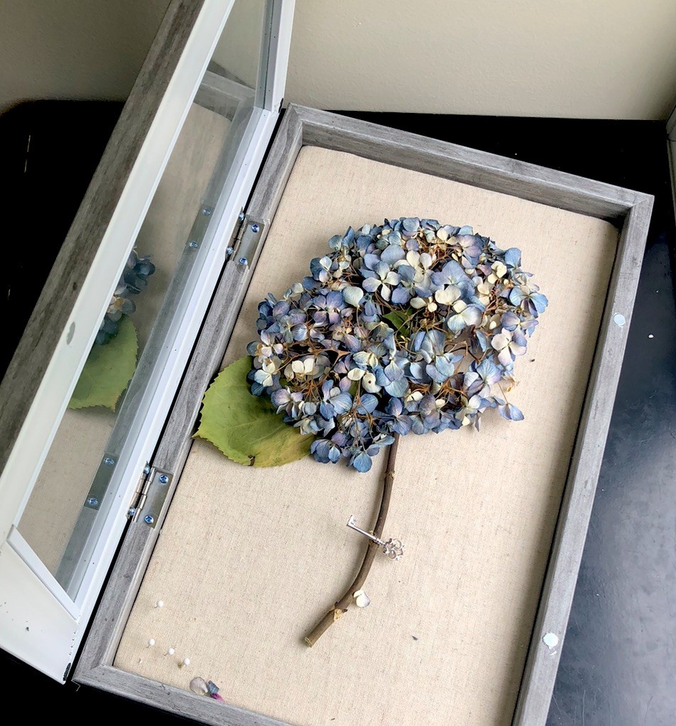 Real dried light blue hydrangea in wood frame 16”H x 10” W