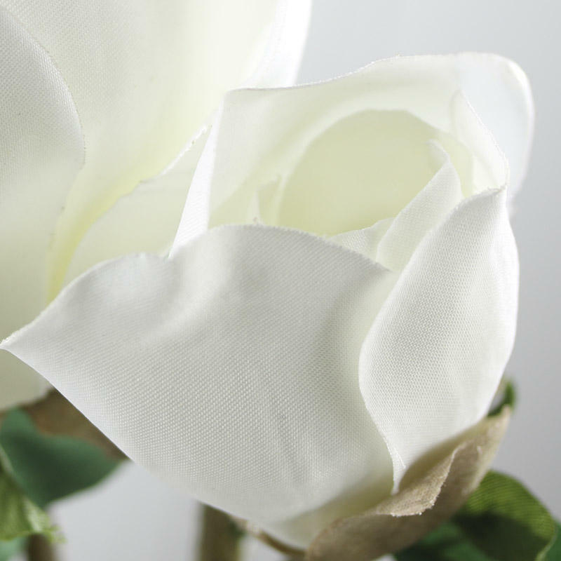 Pair of Soft Creamy White Open and Closed Rose Stems