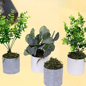 Fake Moss Artificial Moss for Potted Plants Greenery Moss(4OZ) Home Decor Fairy
