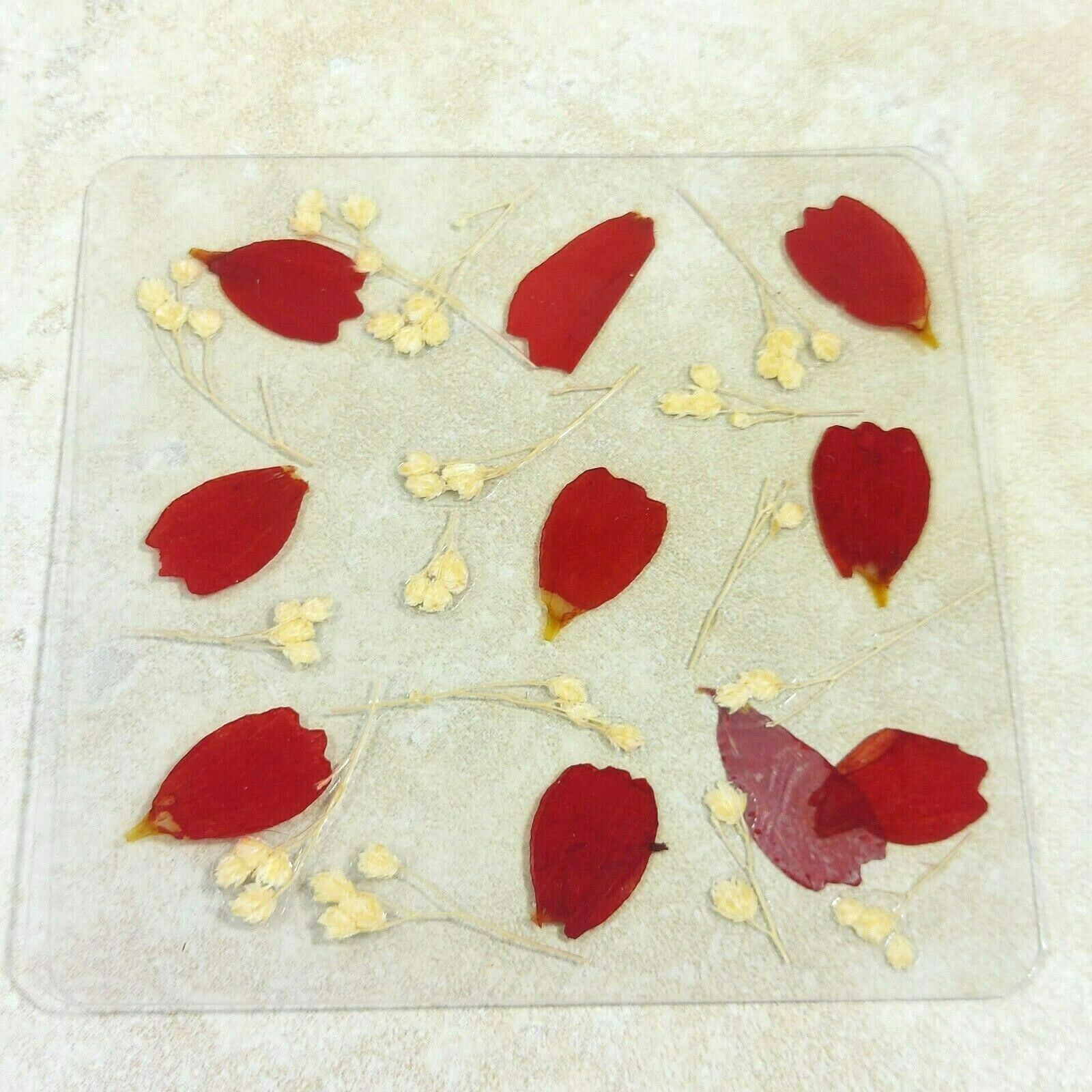 Dried Pressed Flowers Natural Flower Petal Set Resin Art Design Home Décor Gift