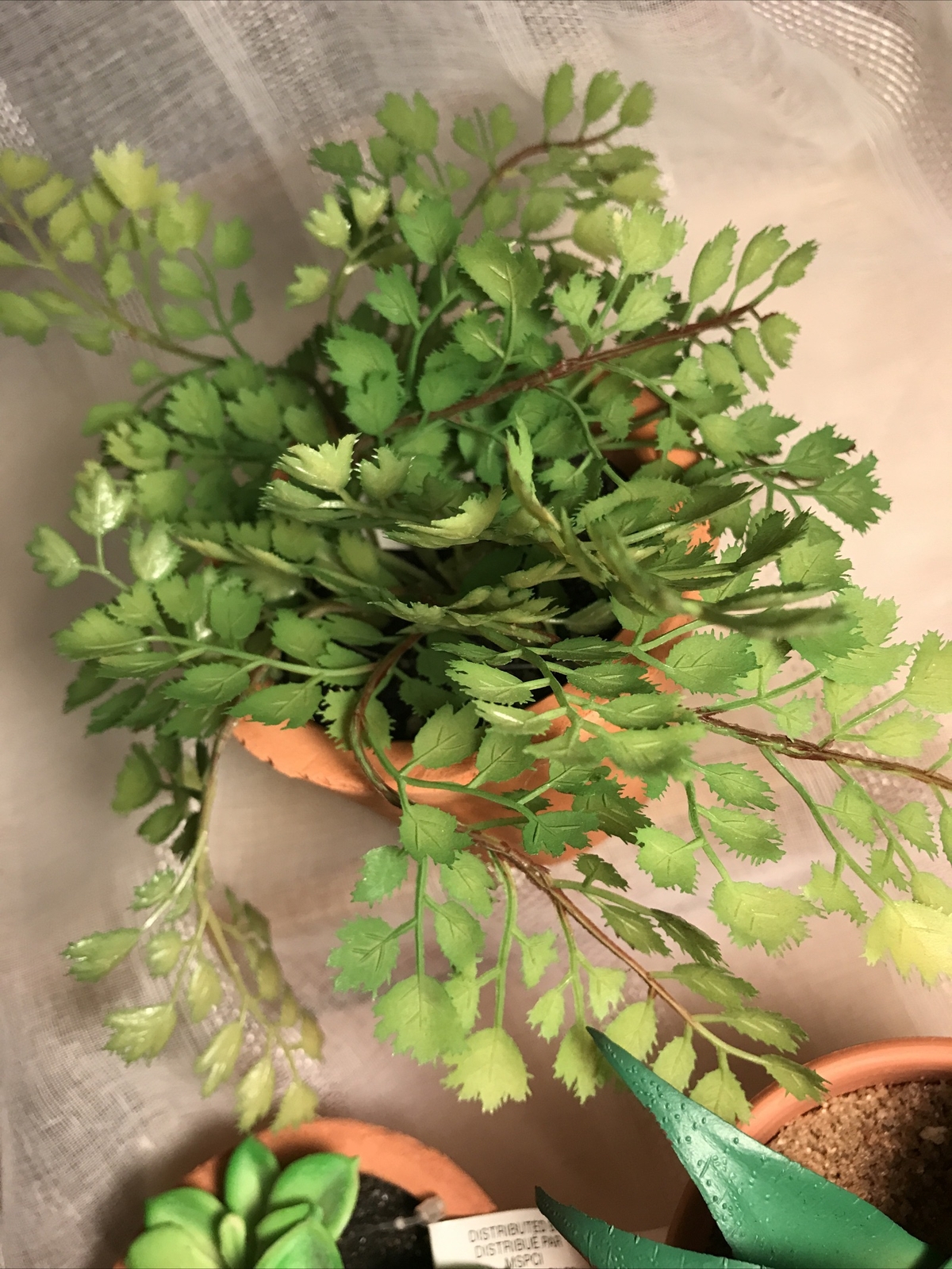 ASHLAND GARDEN Faux Succulent Plants Rustic Pots NWT (3) Floral Decor Home Decor