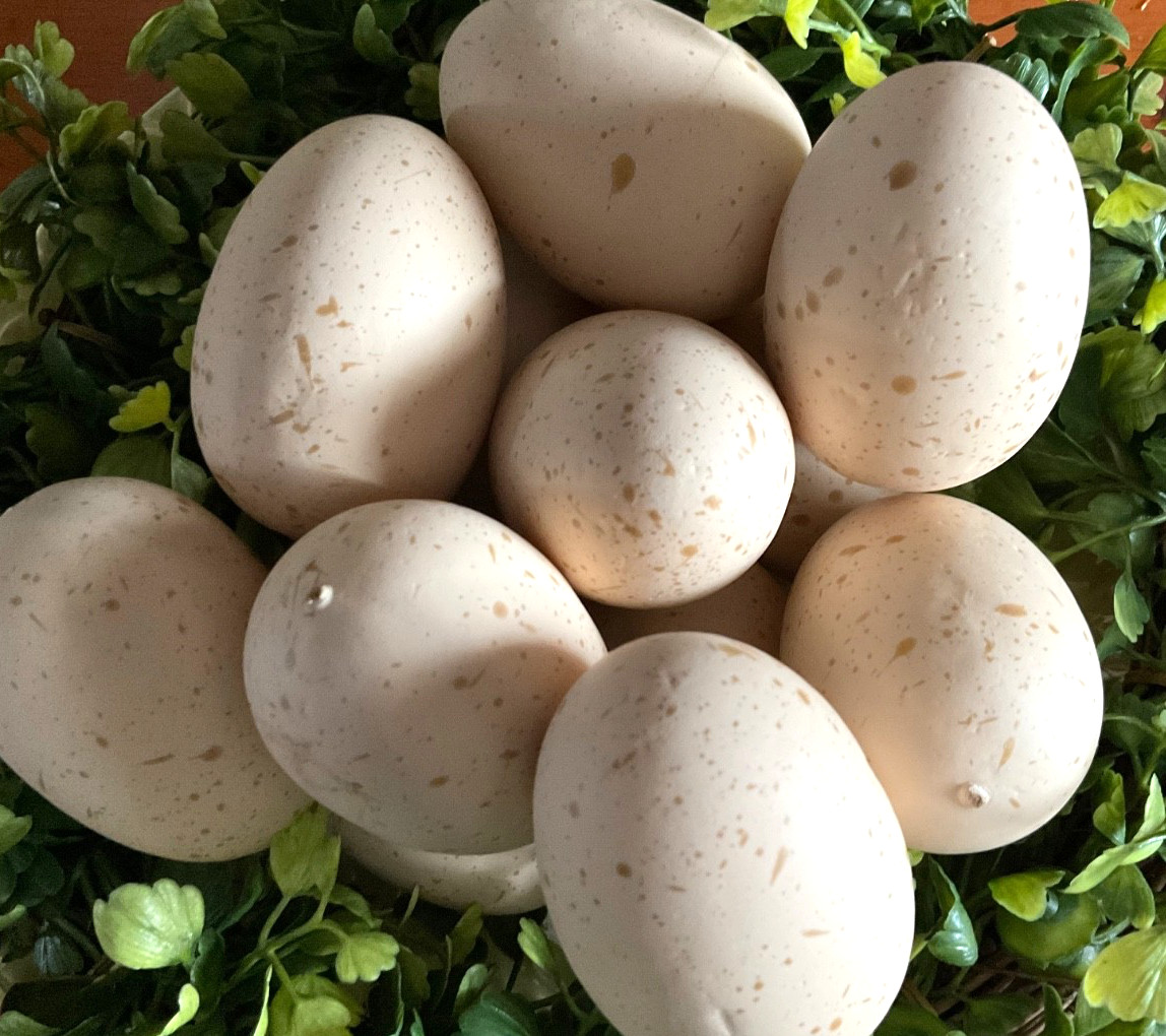 Set 12 Realistic Eggs Cream Speckled Bird Eggs 2 1/4” Easter Eggs