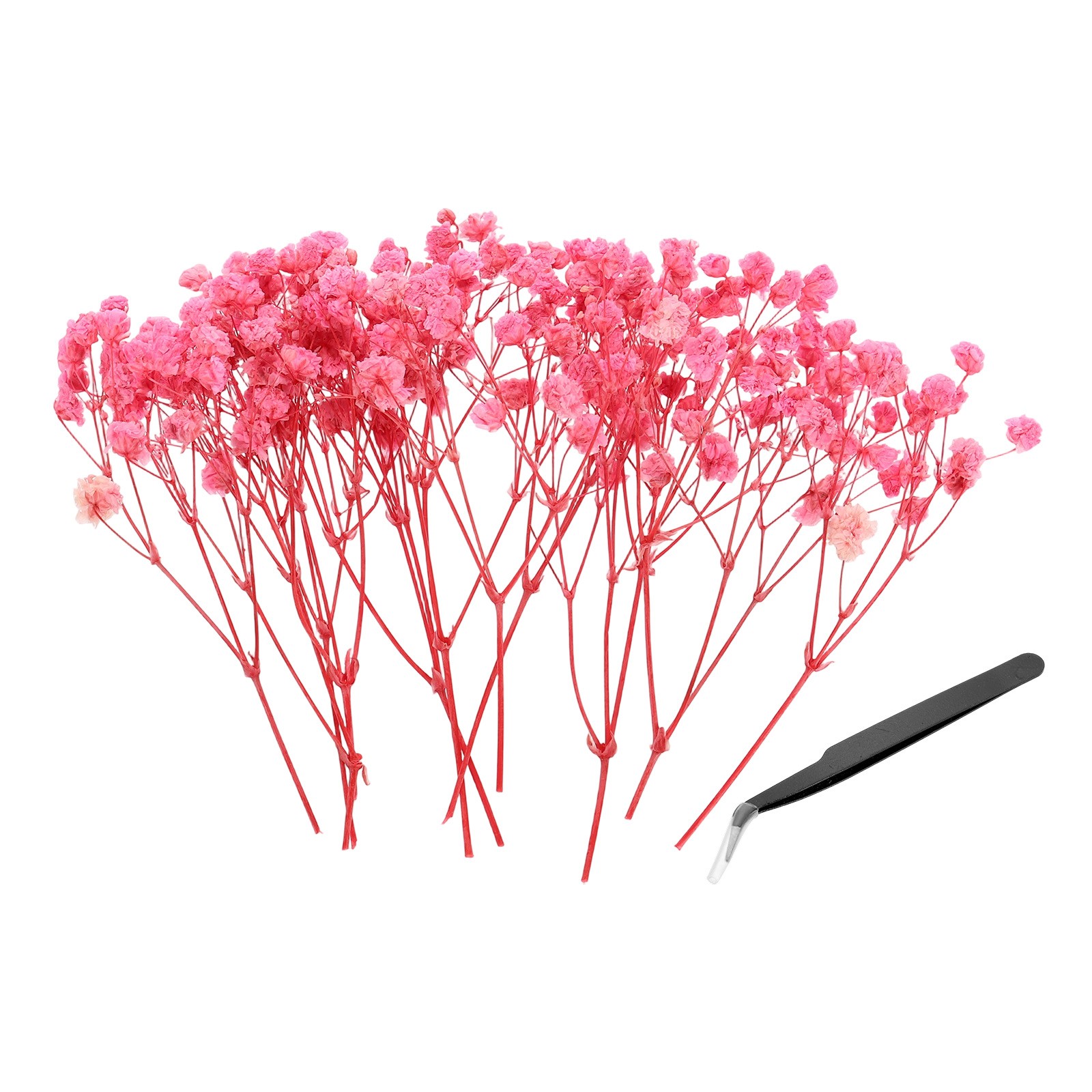 30Pcs, Dried Gypsophila Flower 4″ Light Pink Pressed Flowers with Tweezer