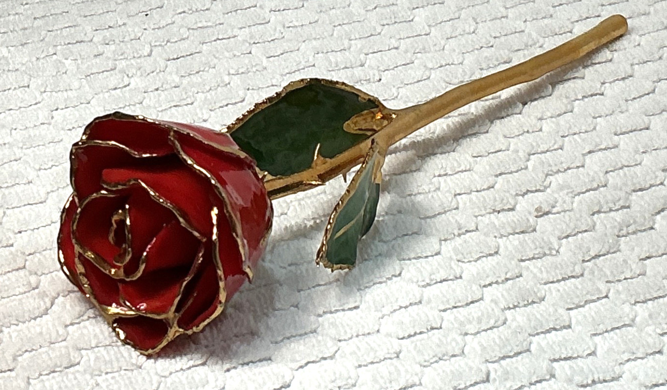 24k & Enamel Preserved Real Red Rose With Thorns Forever Keepsake