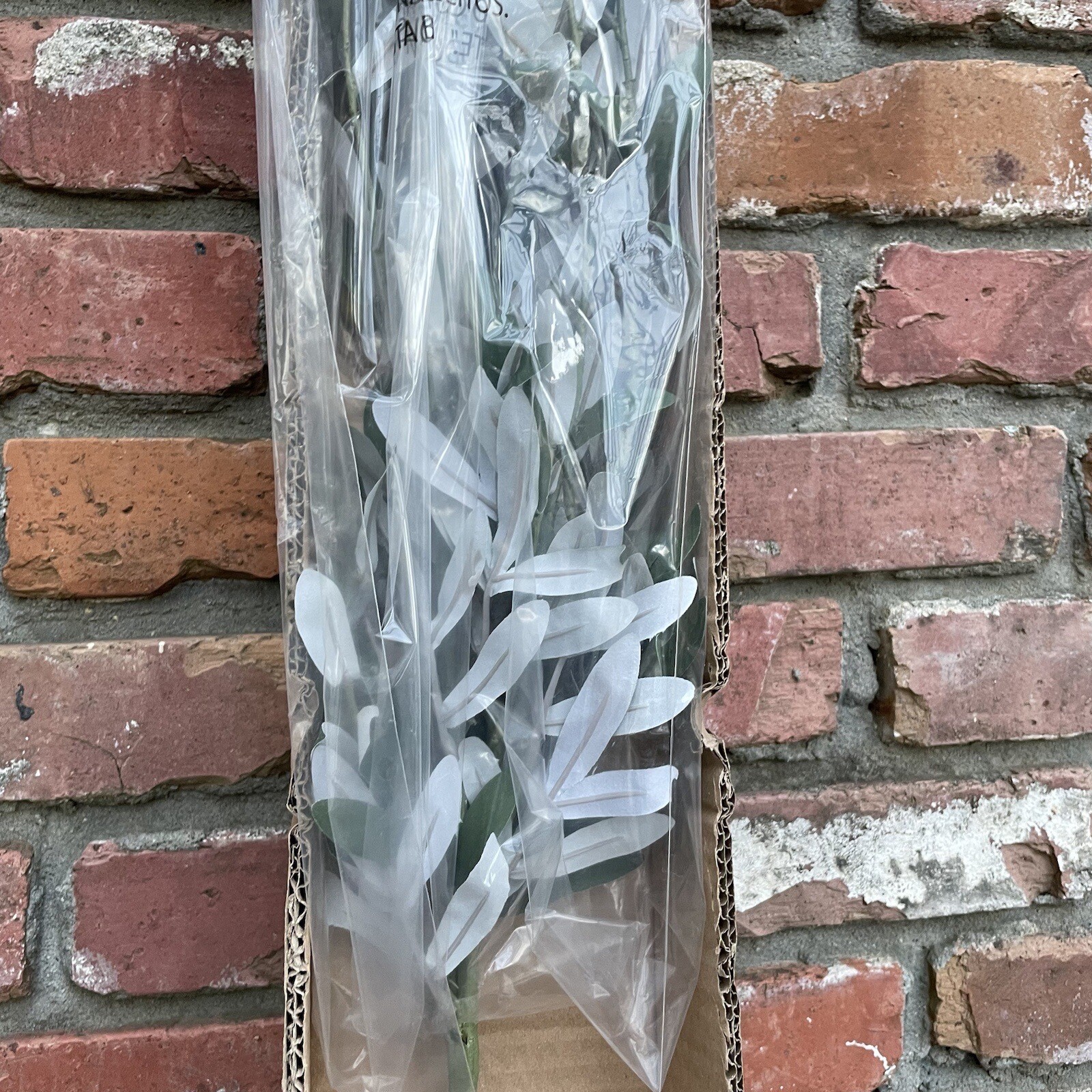Pottery Barn Faux Decorative Olive Branch (1) Green Large 59” long NIB