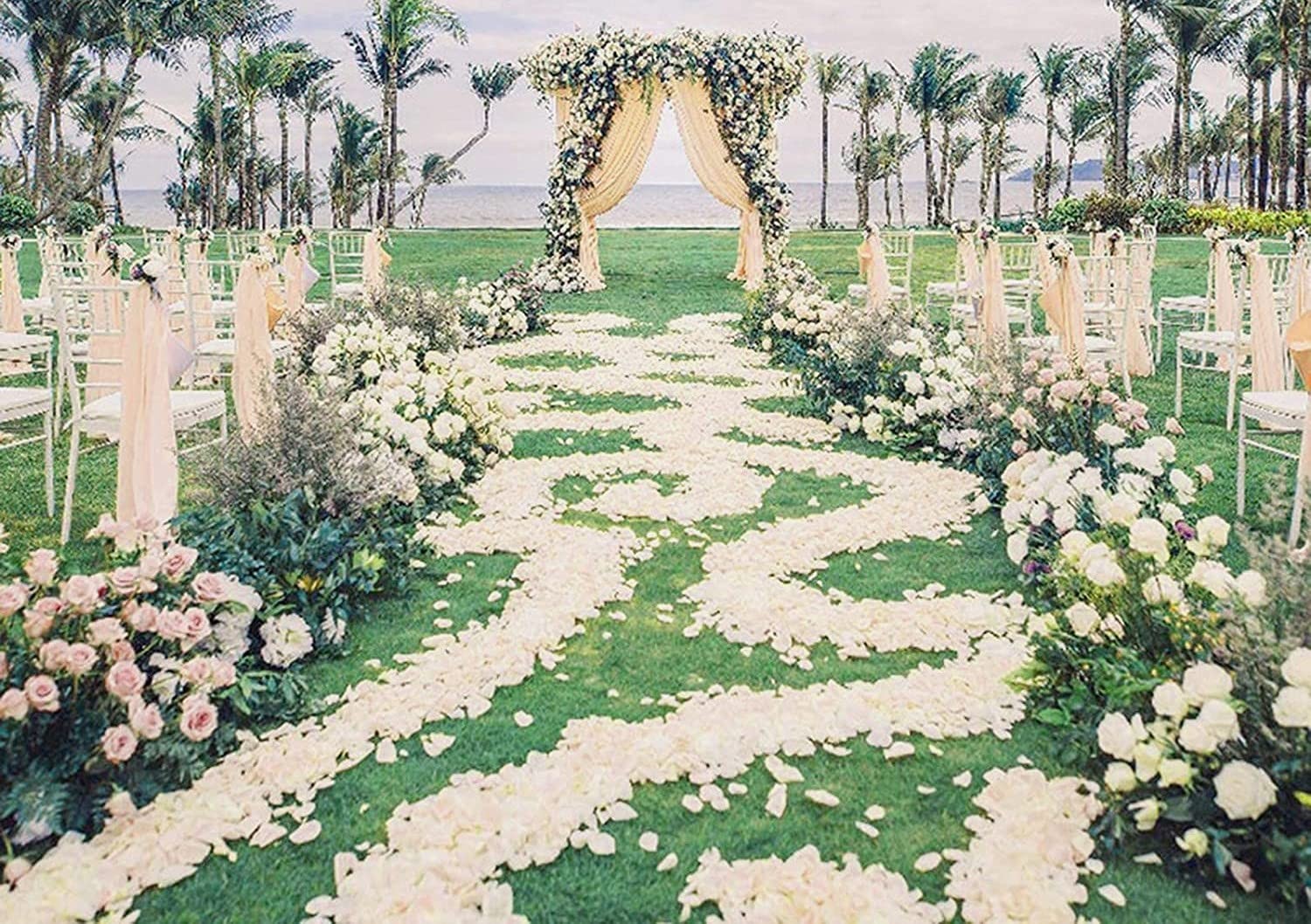 3000pcs Rose Petals Artificial Flower Petals Non-Woven Flower Rose Petals for…