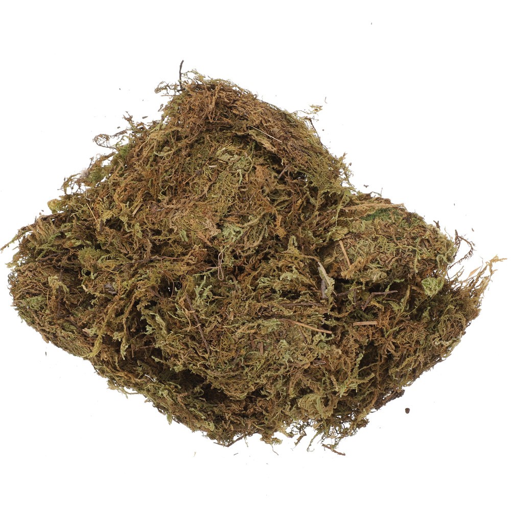2 Packs Gardening Dried Moss Natural Moss for Flowerpot Moss Landscaping