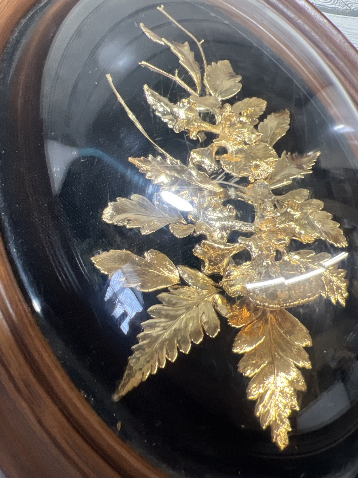 Flora Hawaii 24K Gold Encased Orchid Fern Art Dome Glass WoodFrame VTG Pair