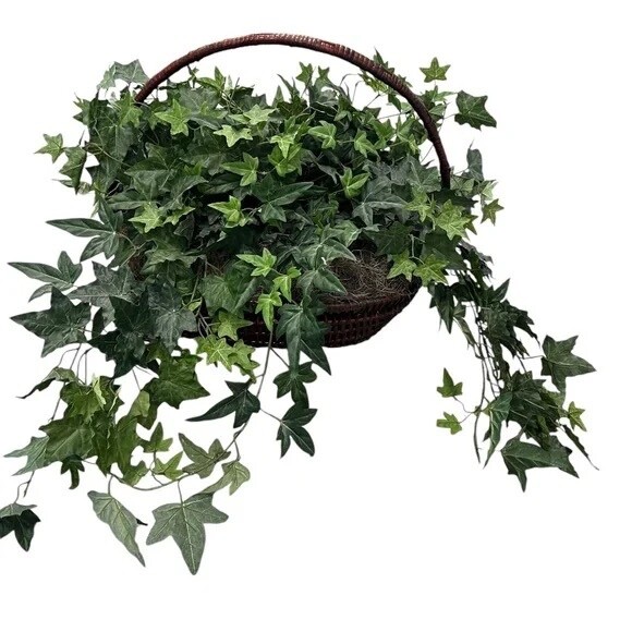 Set Of 2 Gold Leaf Collection Silk Artificial English Ivy Basket