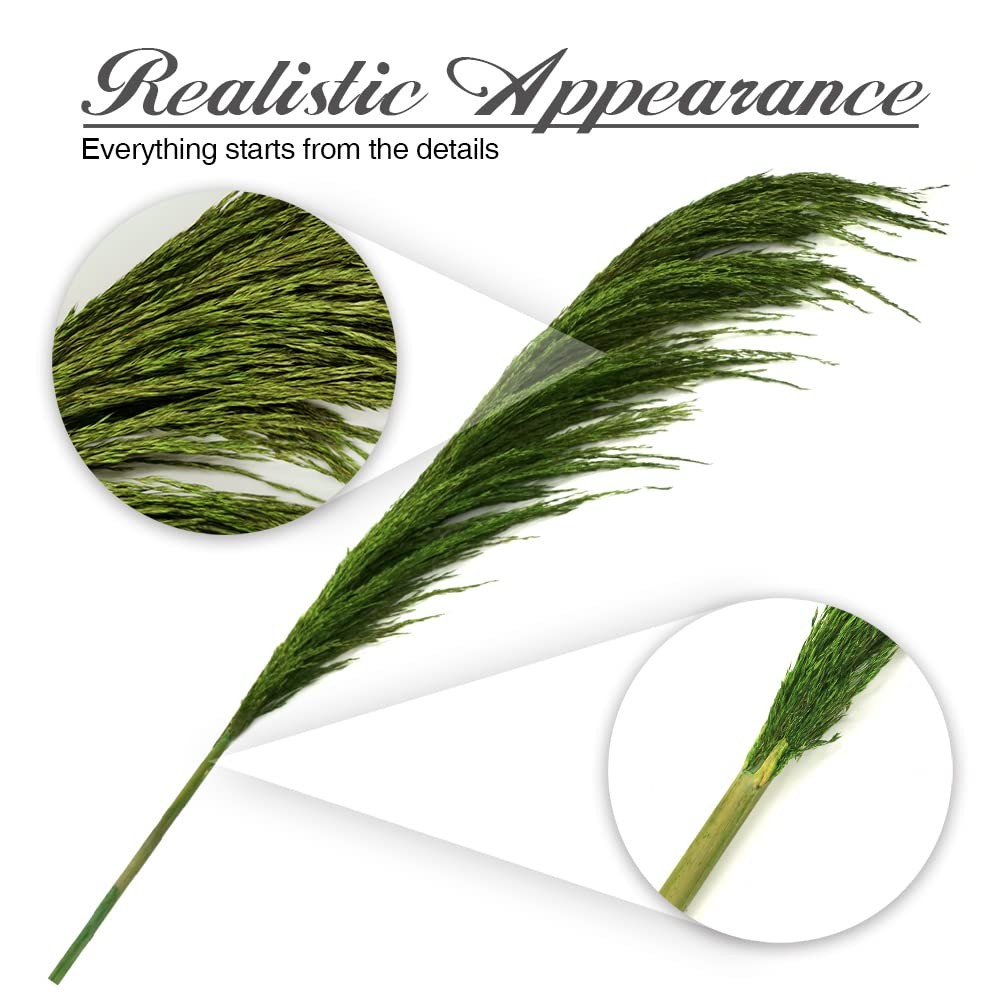Green Pampas Grass Tall 8pcs 31.5″ Natural Colorful Pompas floral with Dried …