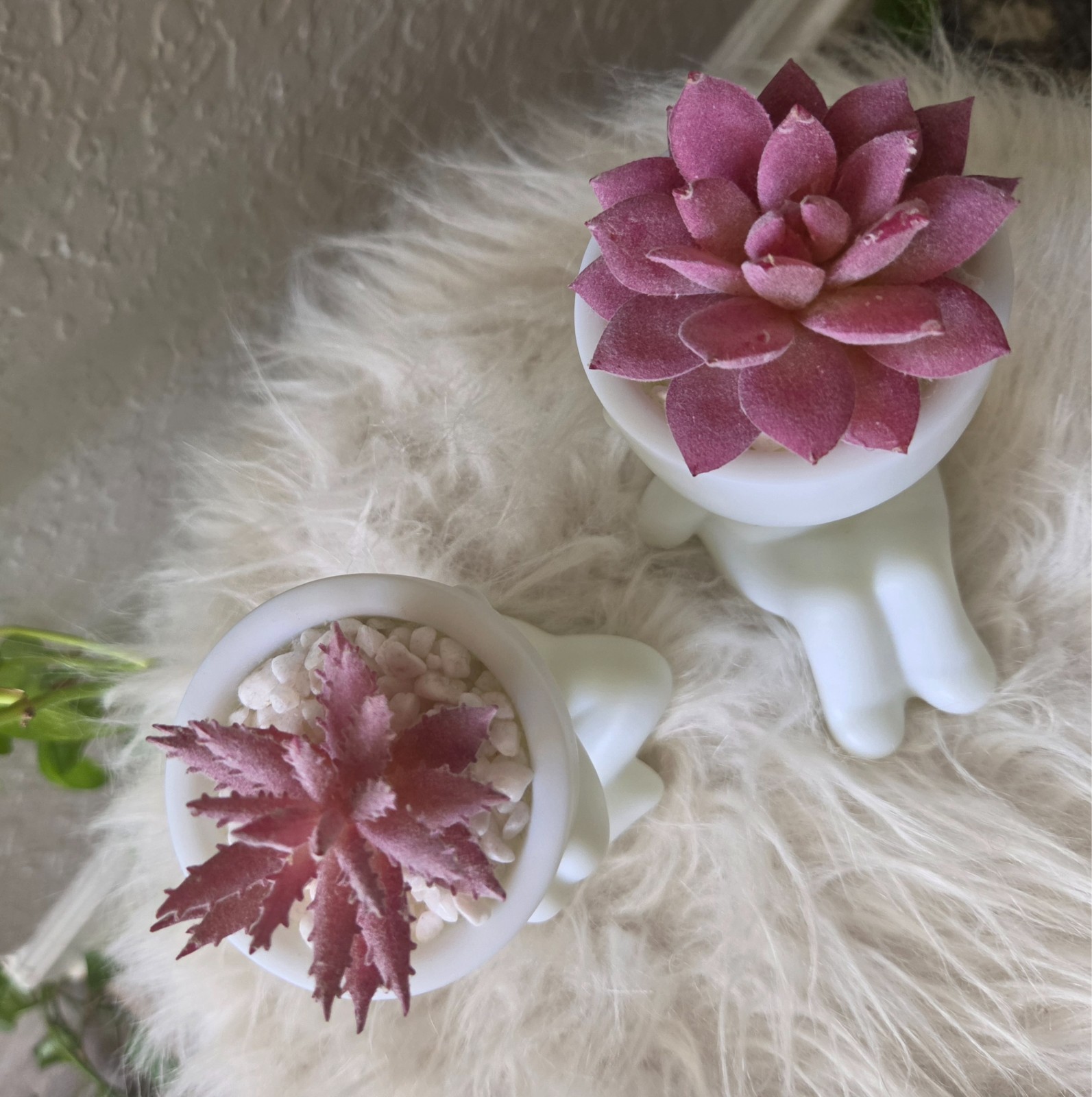 Der Rose Human Shaped Ceramic pot set feat artificial pink succulent plants