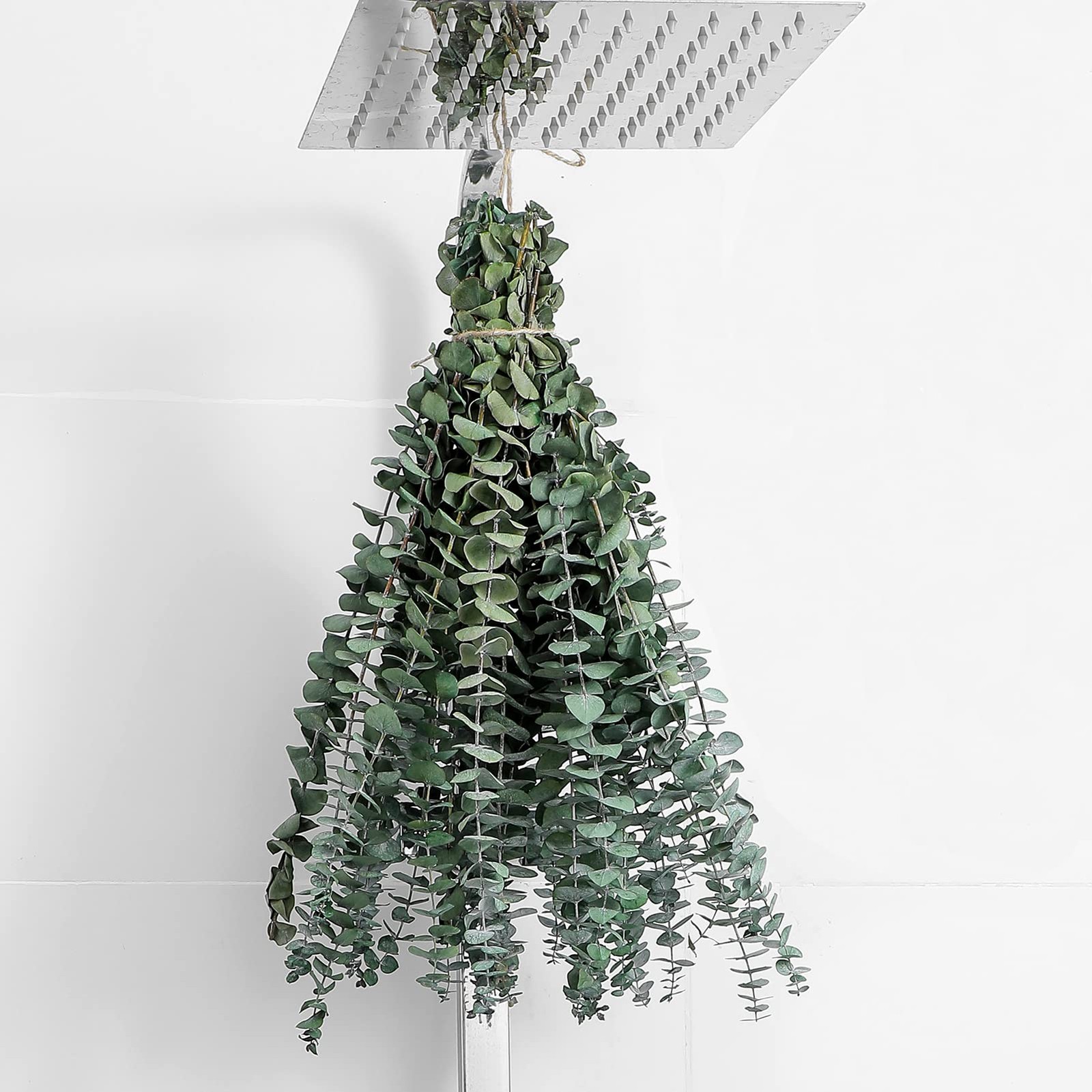 12 Pcs Eucalyptus for Shower Hanging 17″ Real Eucalyptus Stems 100% Made from…