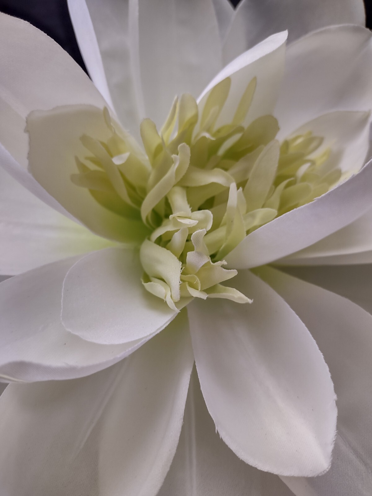 Artificial White Natural Feel large lotus blossom stems