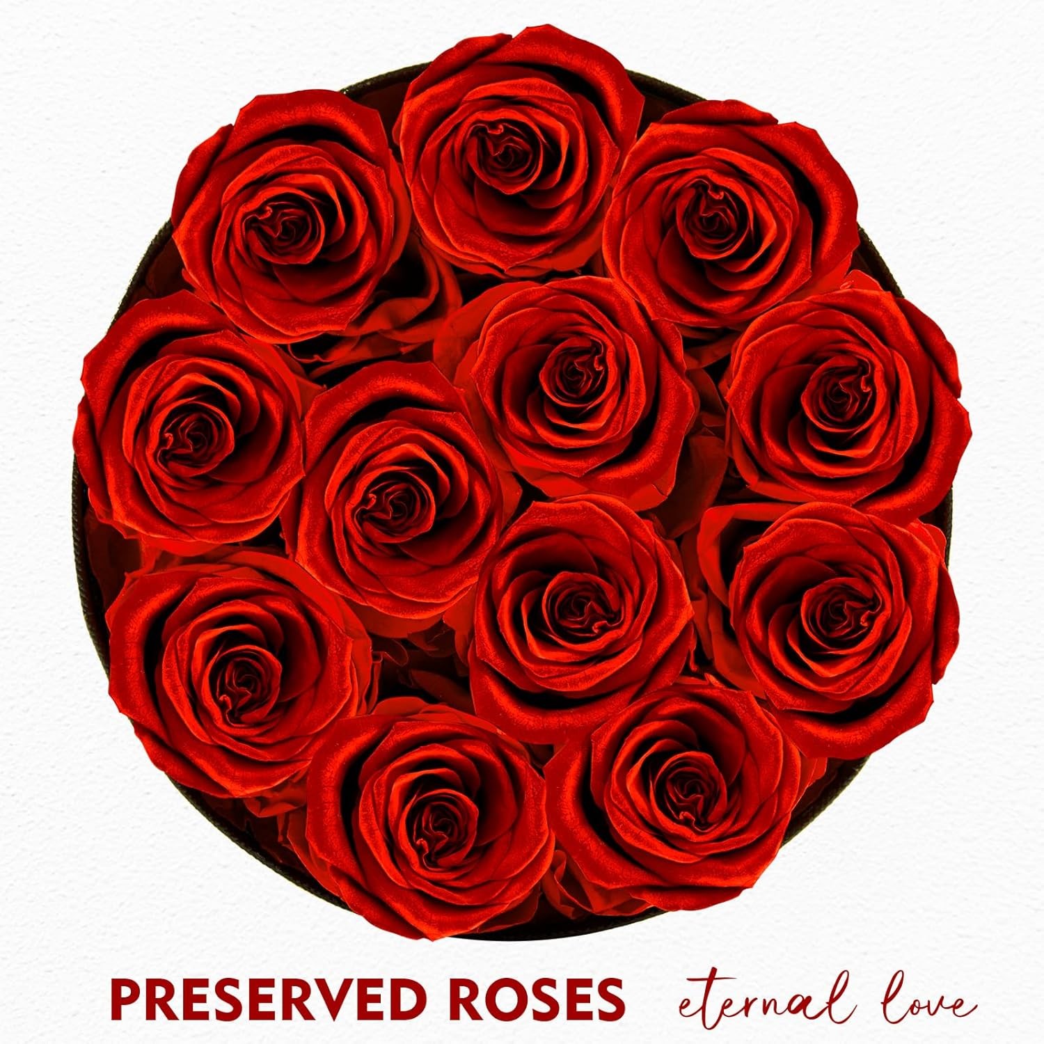 Forever Flowers,12 Red Roses in A Box, Real Preserved Roses, Birthday Gift