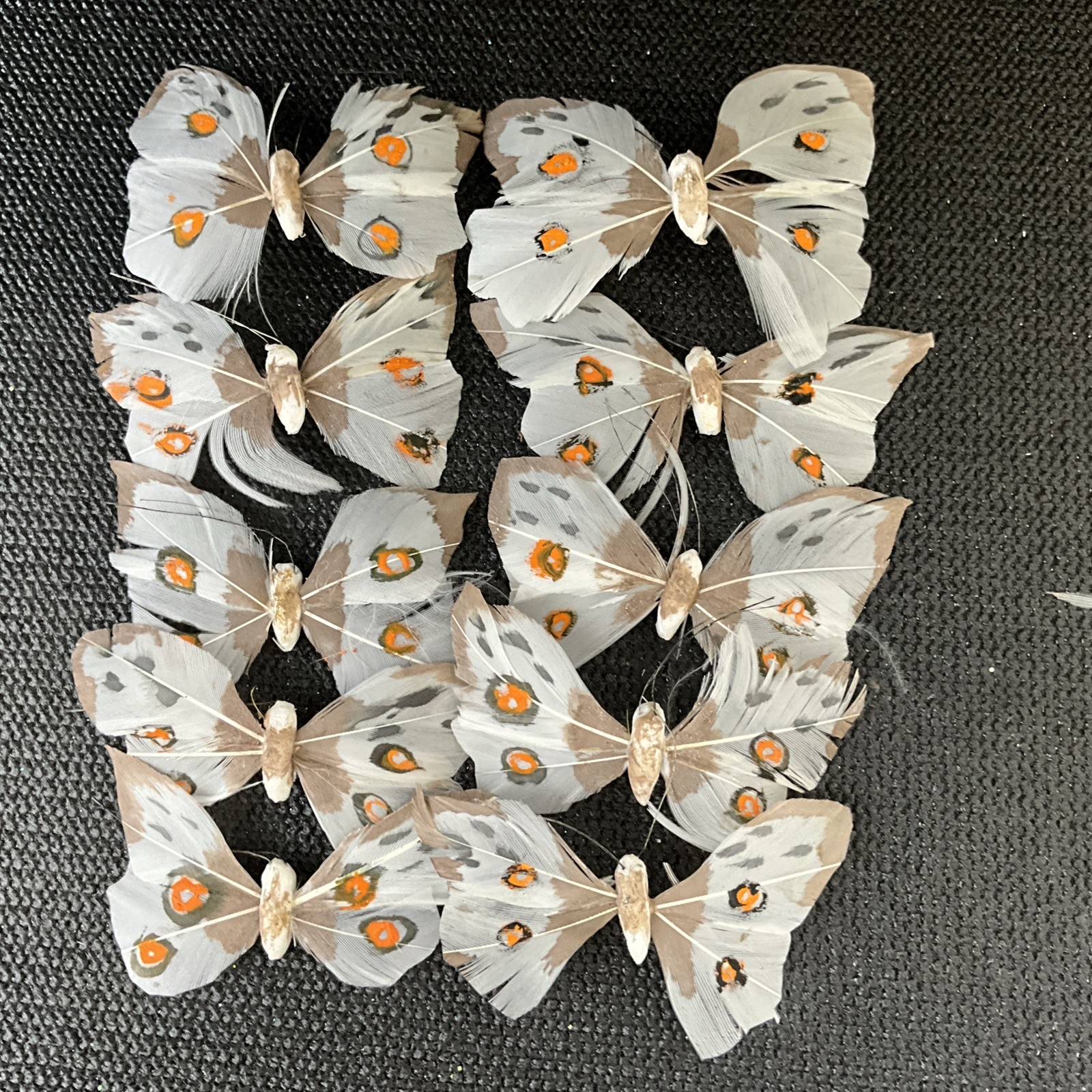 The Butterflies For Craft or Decoration