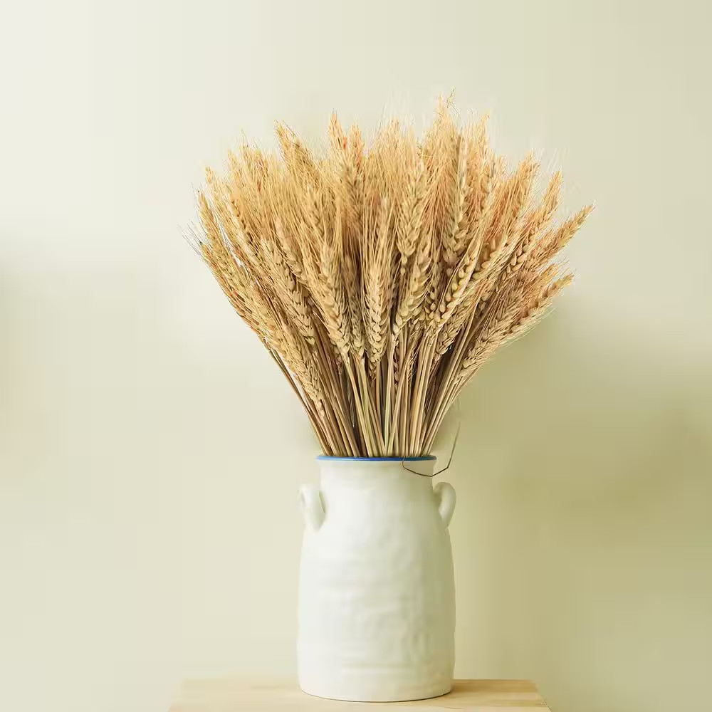 1 In. 200-Pieces Natural Dried Wheat Stalks Yellow Artificial Plant for Home Kit