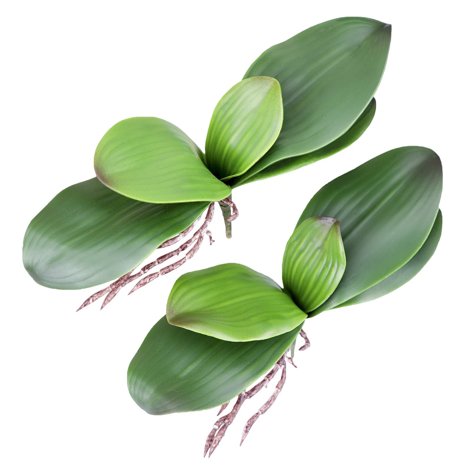 Orchid Leaves Artificial Phalaenopsis Stems Leaf Faux Cymbidium Flower Foliag…