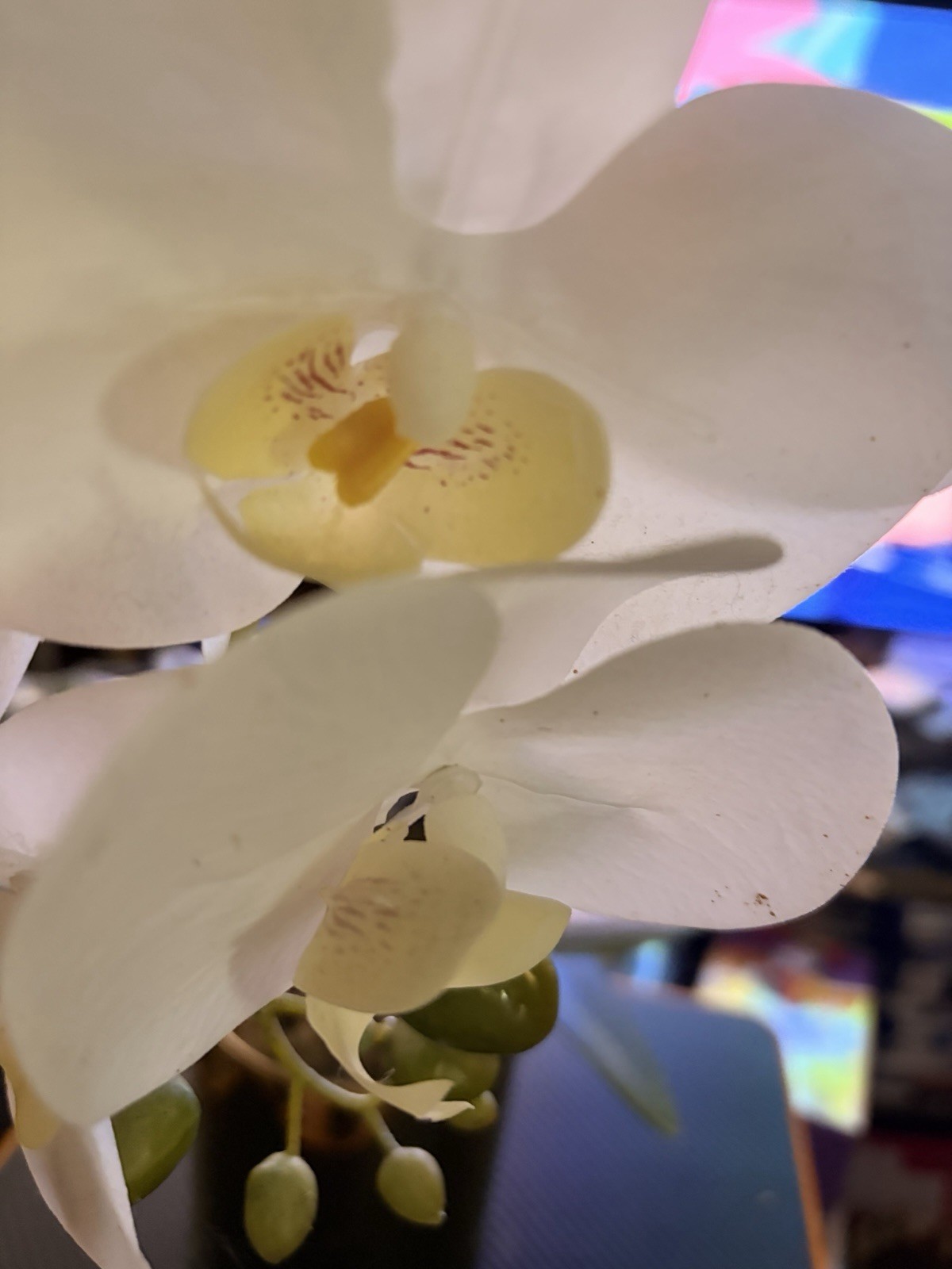 Artificial Orchid Flower Potted, 24″ White Orchid in Gold Pot Faux Plant