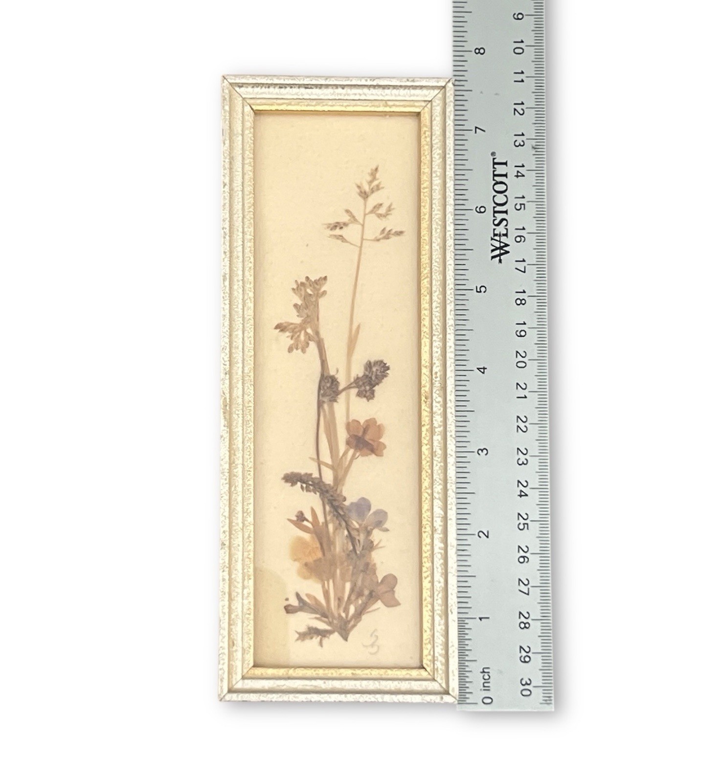 Vintage Pressed Flower Framed Art East Germany 7.5”x2.75” Cottage Core Signed