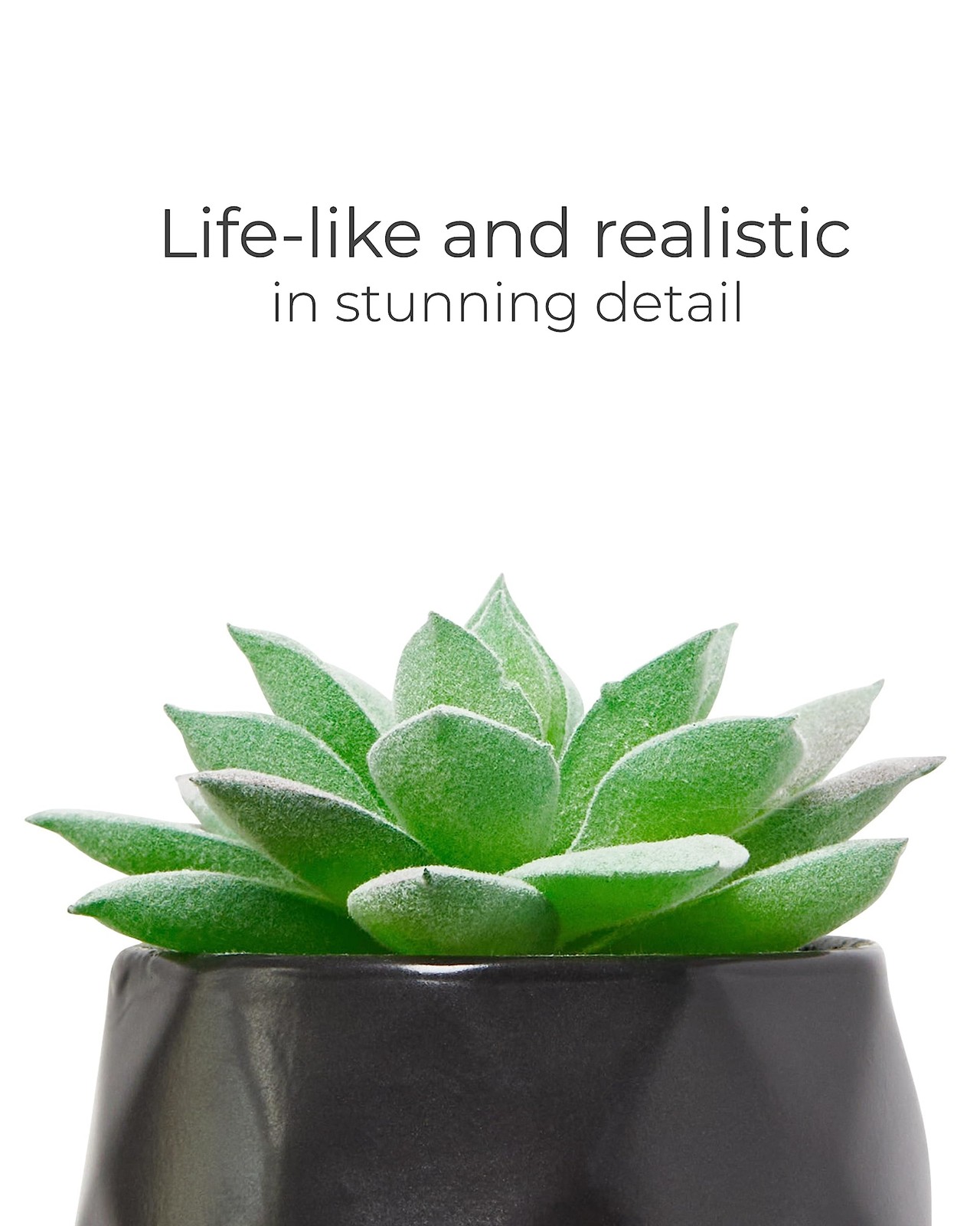 Nordik Set of 4 Desk Plants – Geometric Round Black Pots – Perfect for Bathro…