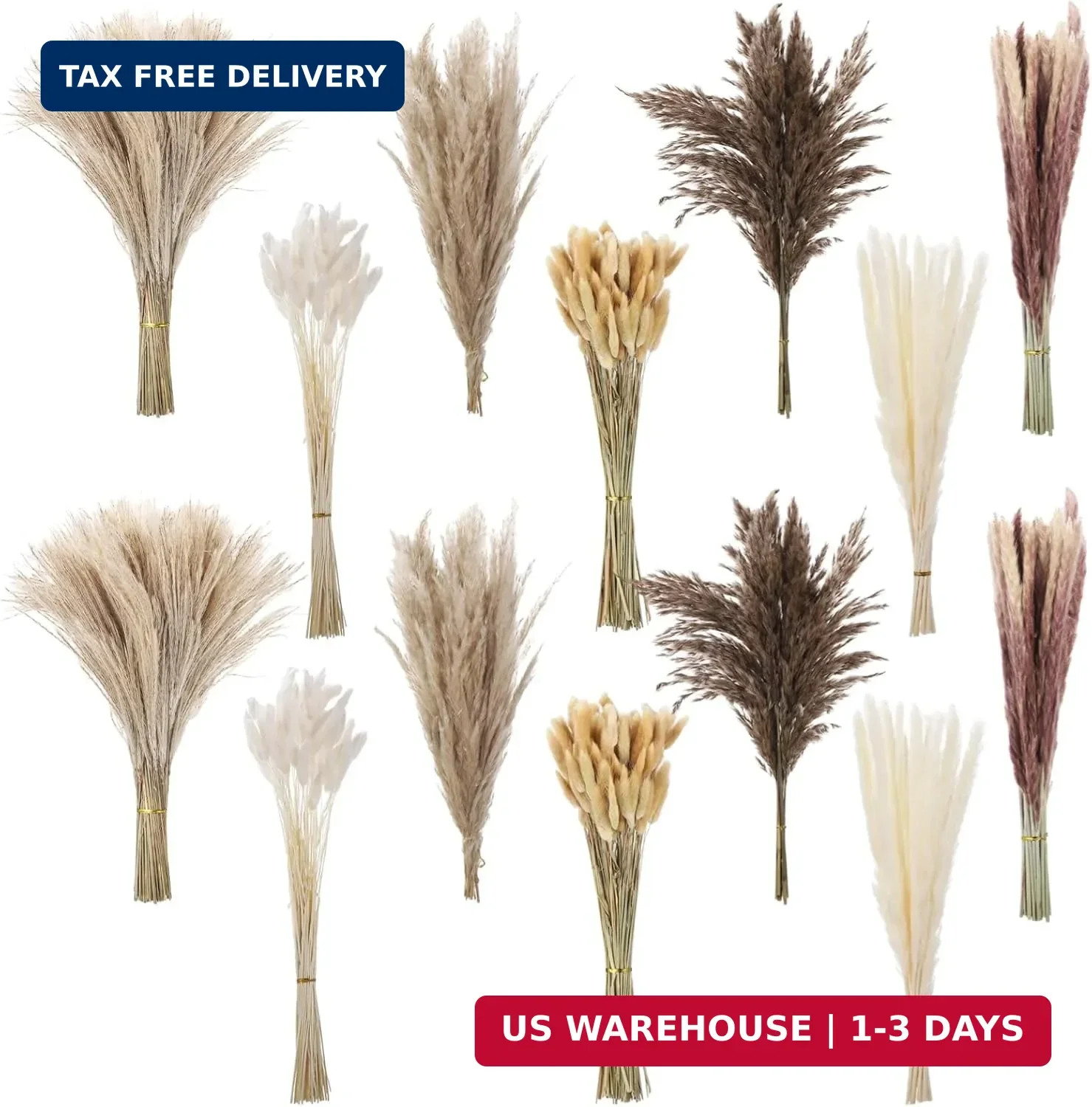 300 Pcs Dried Pampas Grass Bouquet – Natural Eucalyptus & Bunny Tail Grass, Boho
