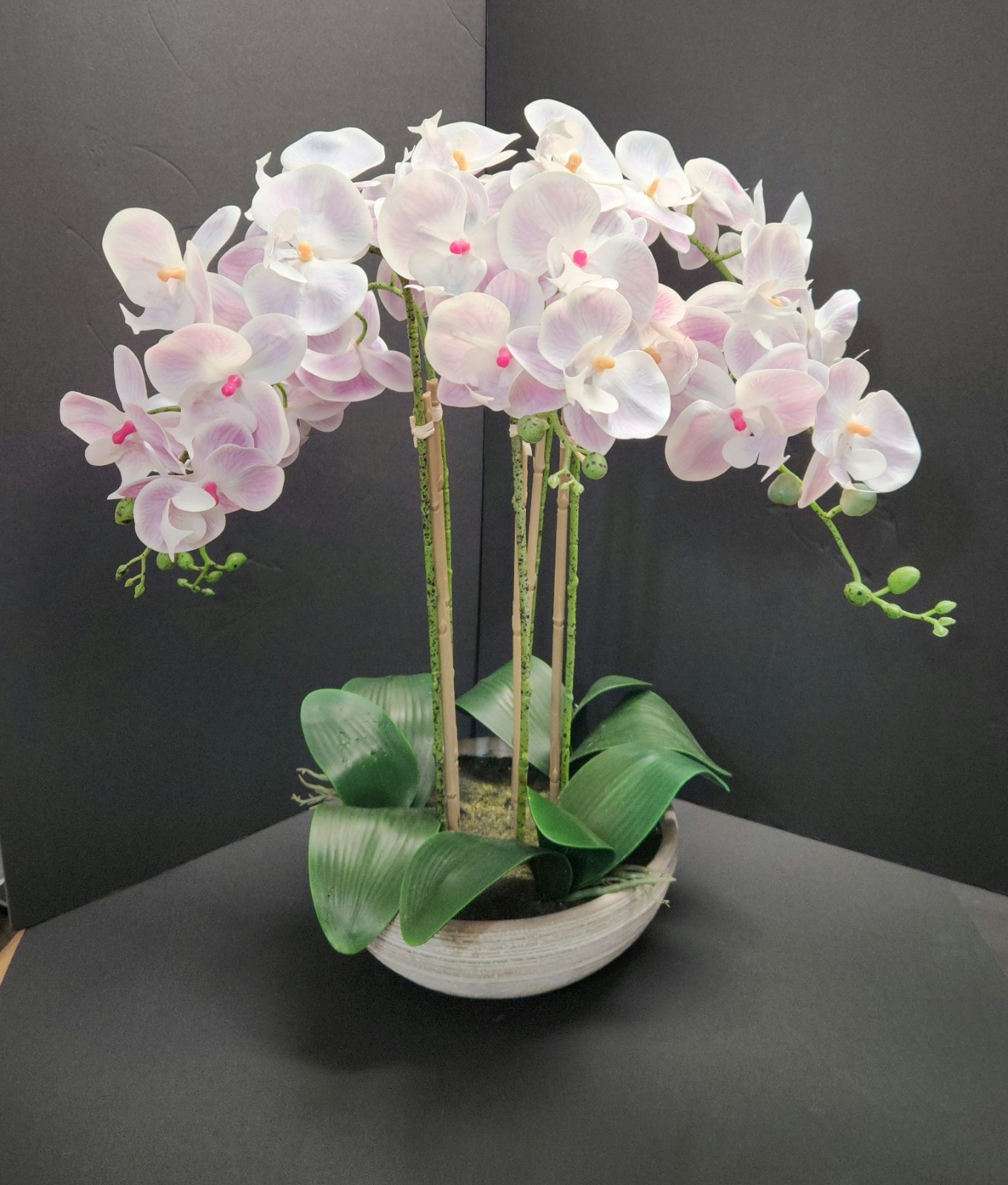 Allen + Roth Silk Artificial Orchid – New