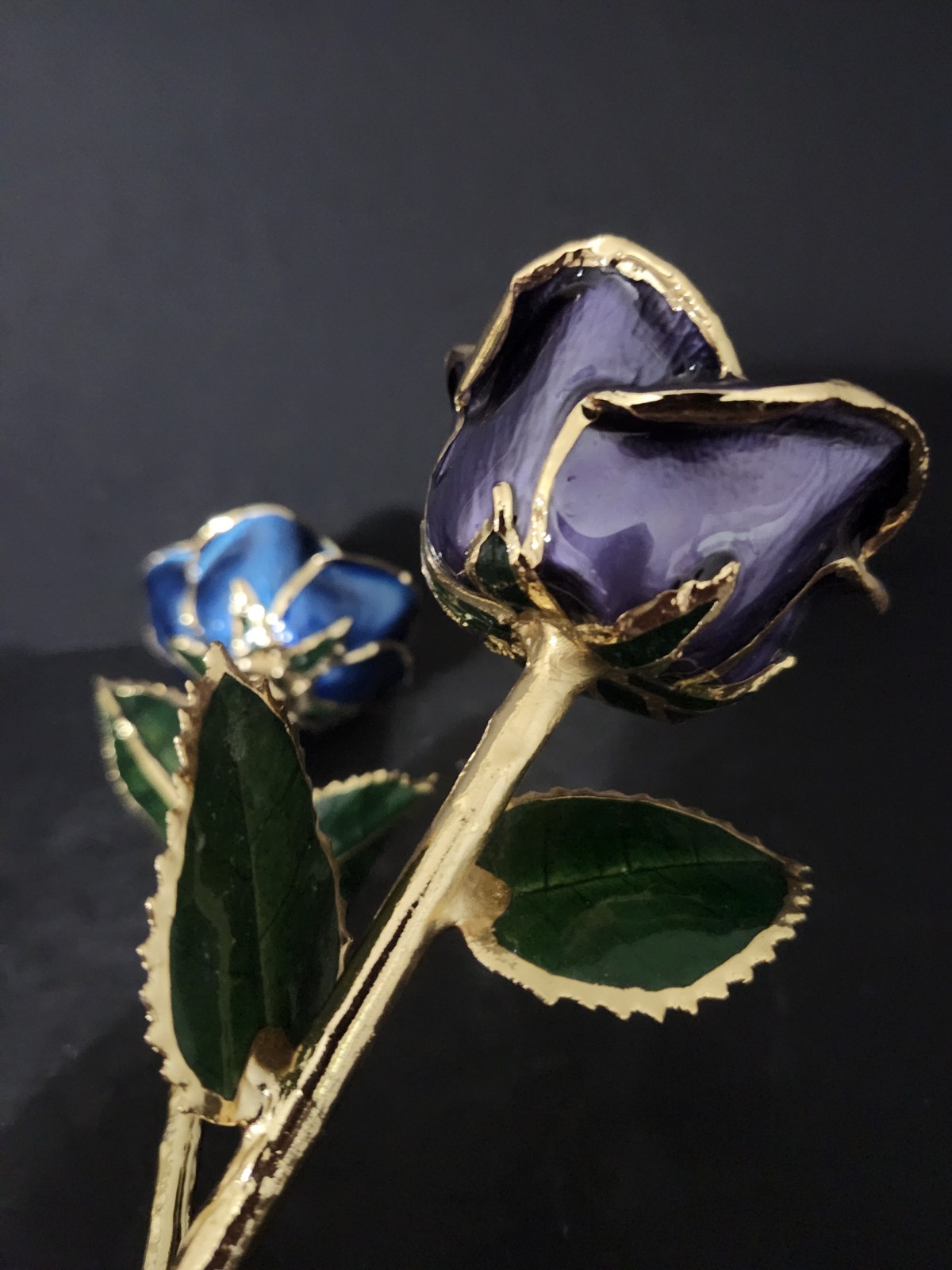 Lacquer Dipped 24k Gold Trimmed Real Preserved Blue And Purple Rose 11″ Set Of 2