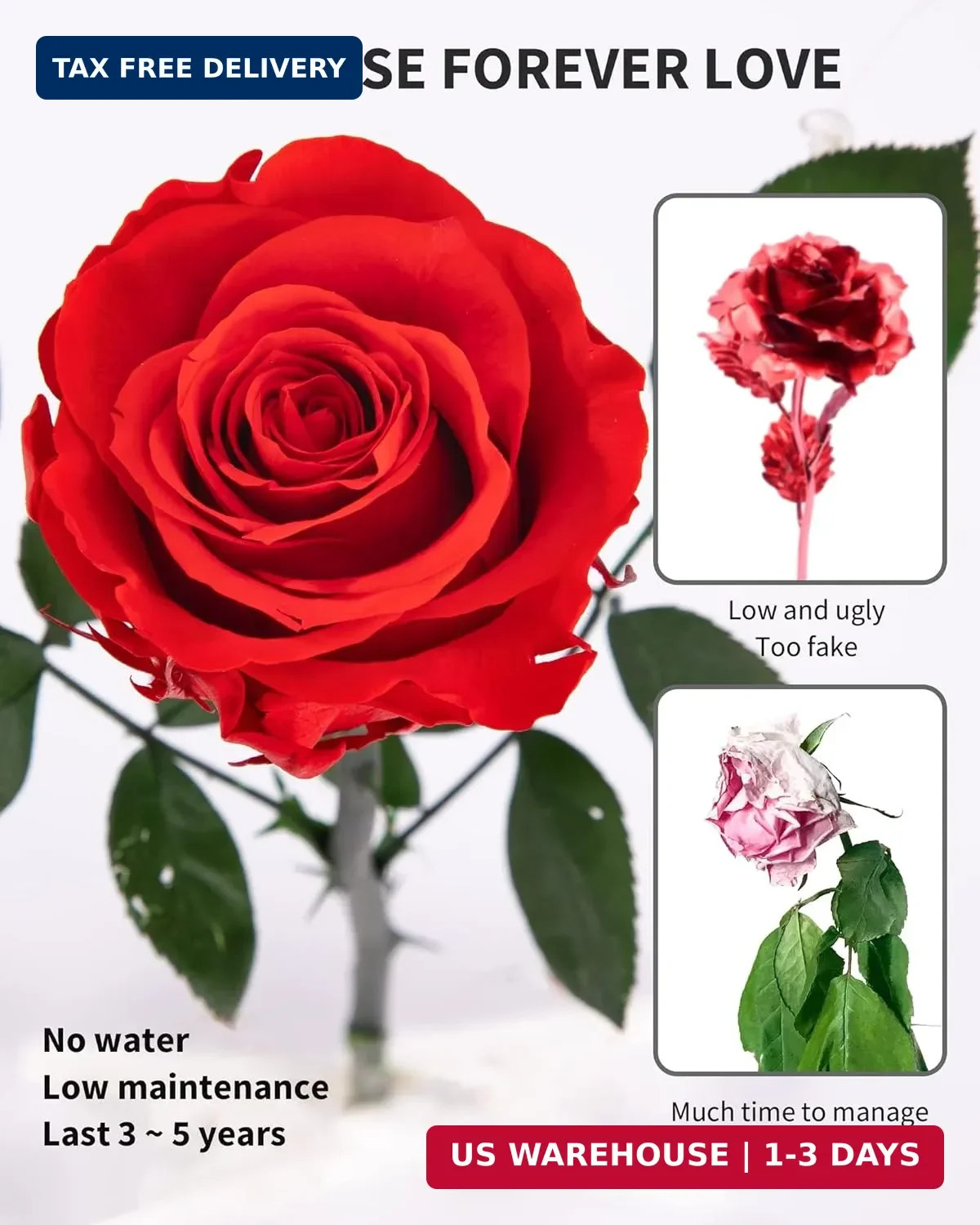 Flowers for Delivery Prime, Preserved Roses Flower Gifts for Women, Real Roses S