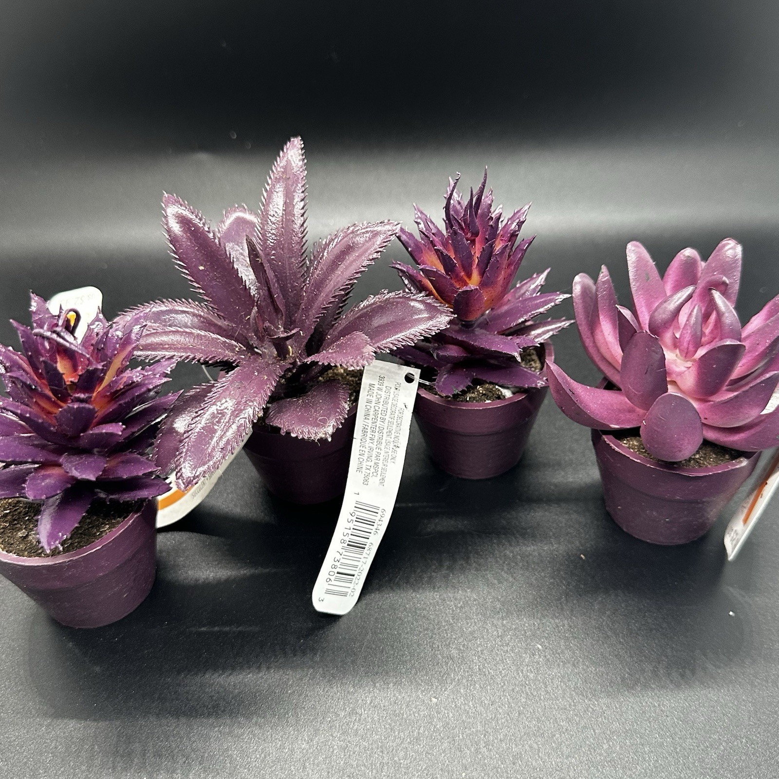 25 Mini Artificial Succulent Plant Lot Potted Black Green Purple Halloween Craft