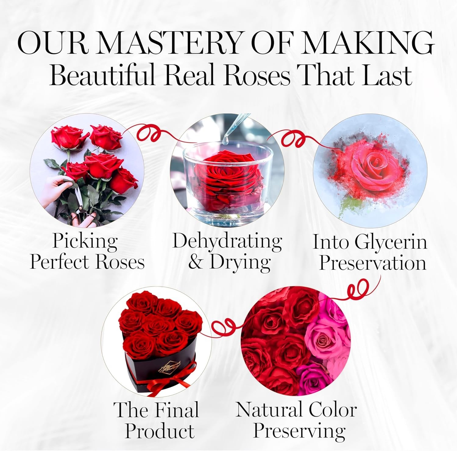 Eternal Luxury: 7 Red Roses in Heart-Shaped Box – Perfect Gift for Her