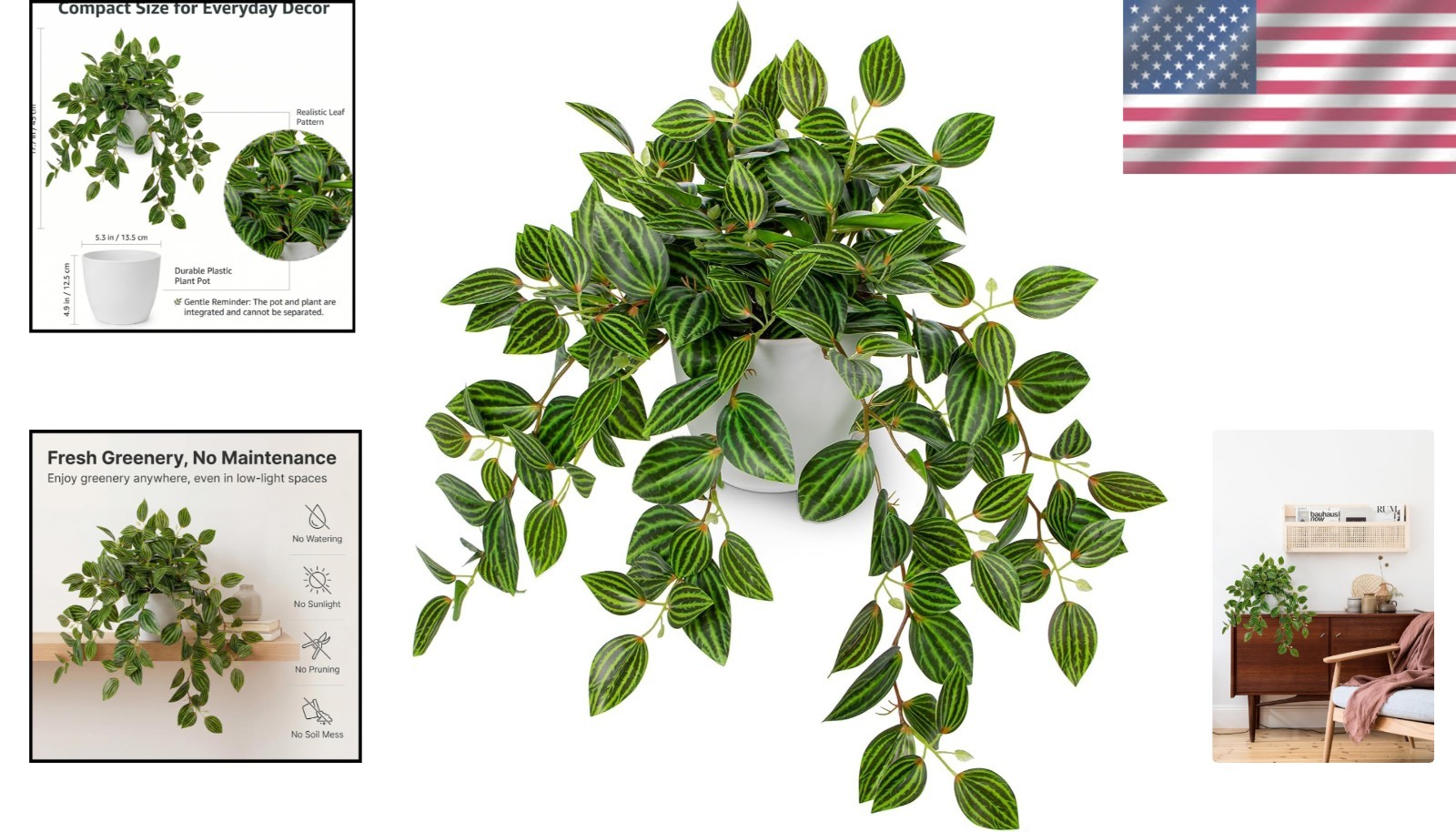 17.7″ Faux Watermelon Peperomia Plant in White Pot – Realistic Indoor Greenery
