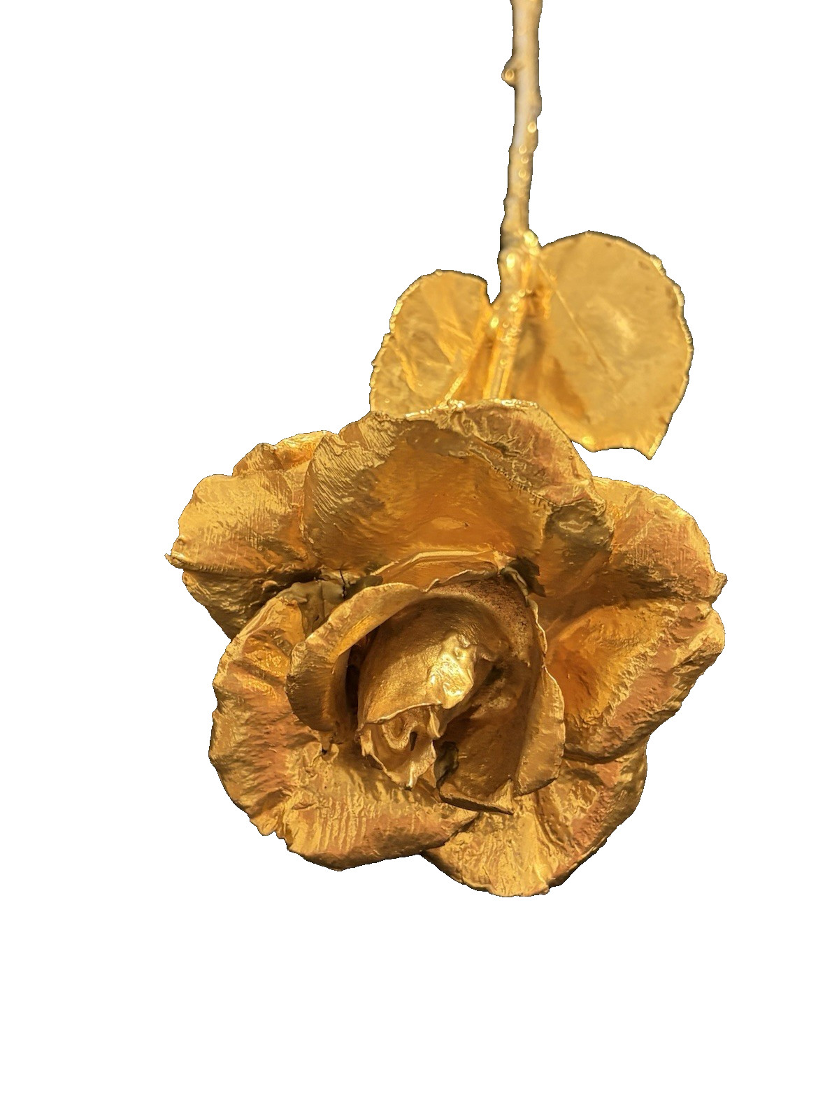 Real Natural Rose Flower Coated Preserved And Dipped In Gold