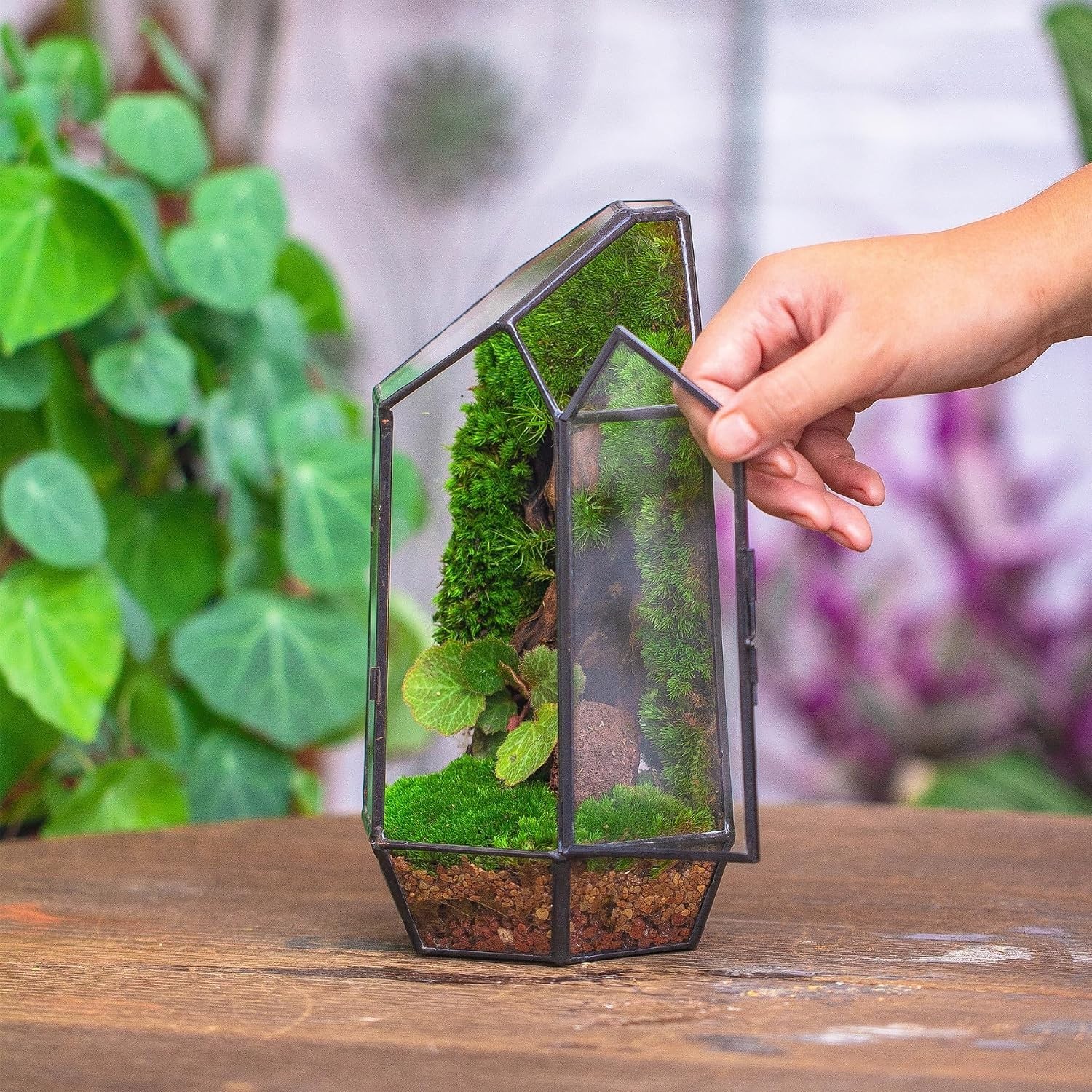 Compact Irregular Glass Terrarium Planter – 5.1” Indoor Decor for Moss & Fern