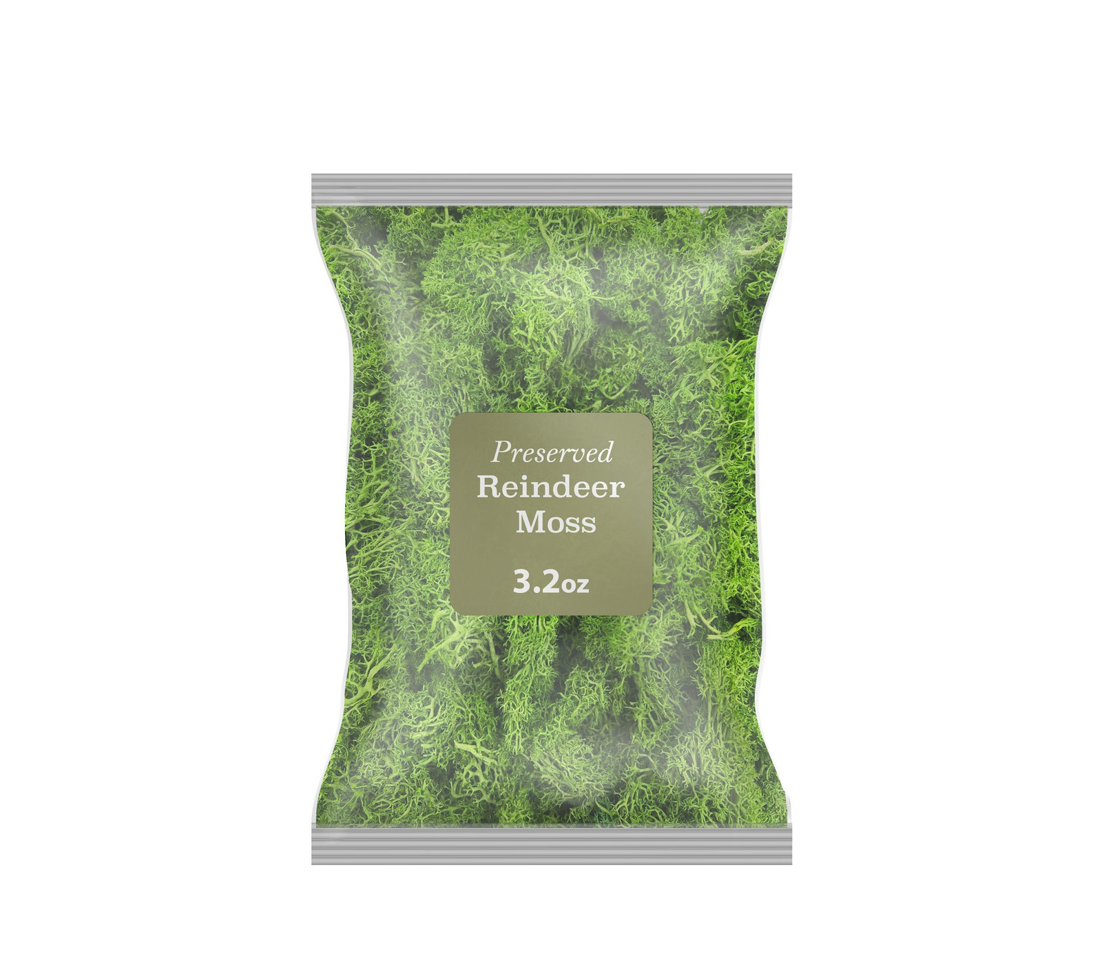 Bergamo Art 95g Preserved Reindeer Moss in Emerald Green