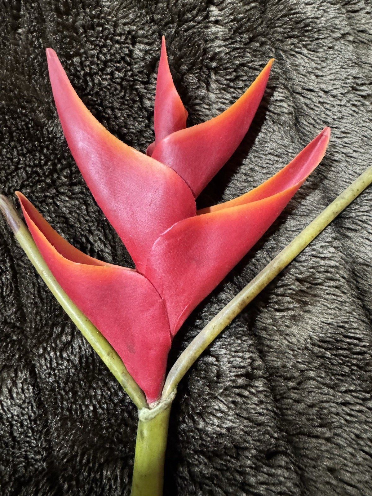 Artificial Heliconia Flower bundle of 5, Green In Color.