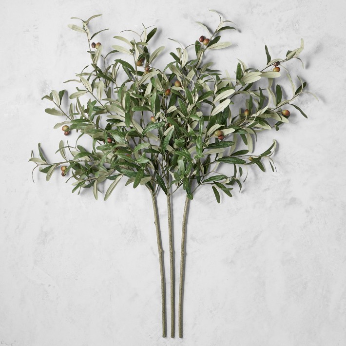 Faux Olive Branch Botanical Accent-Williams Sonoma|37970
