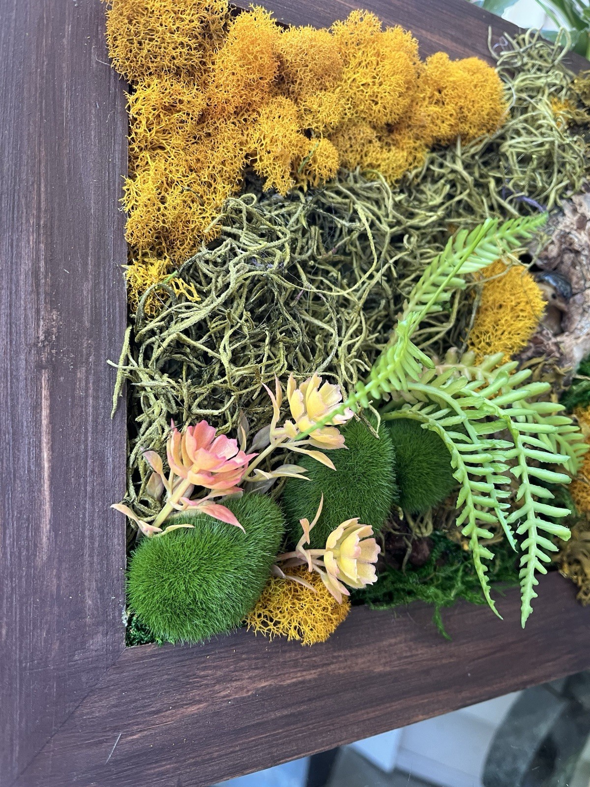 Framed Square Wood Moss Art Wall Decor w/ Succulents Fern Faux Greenery