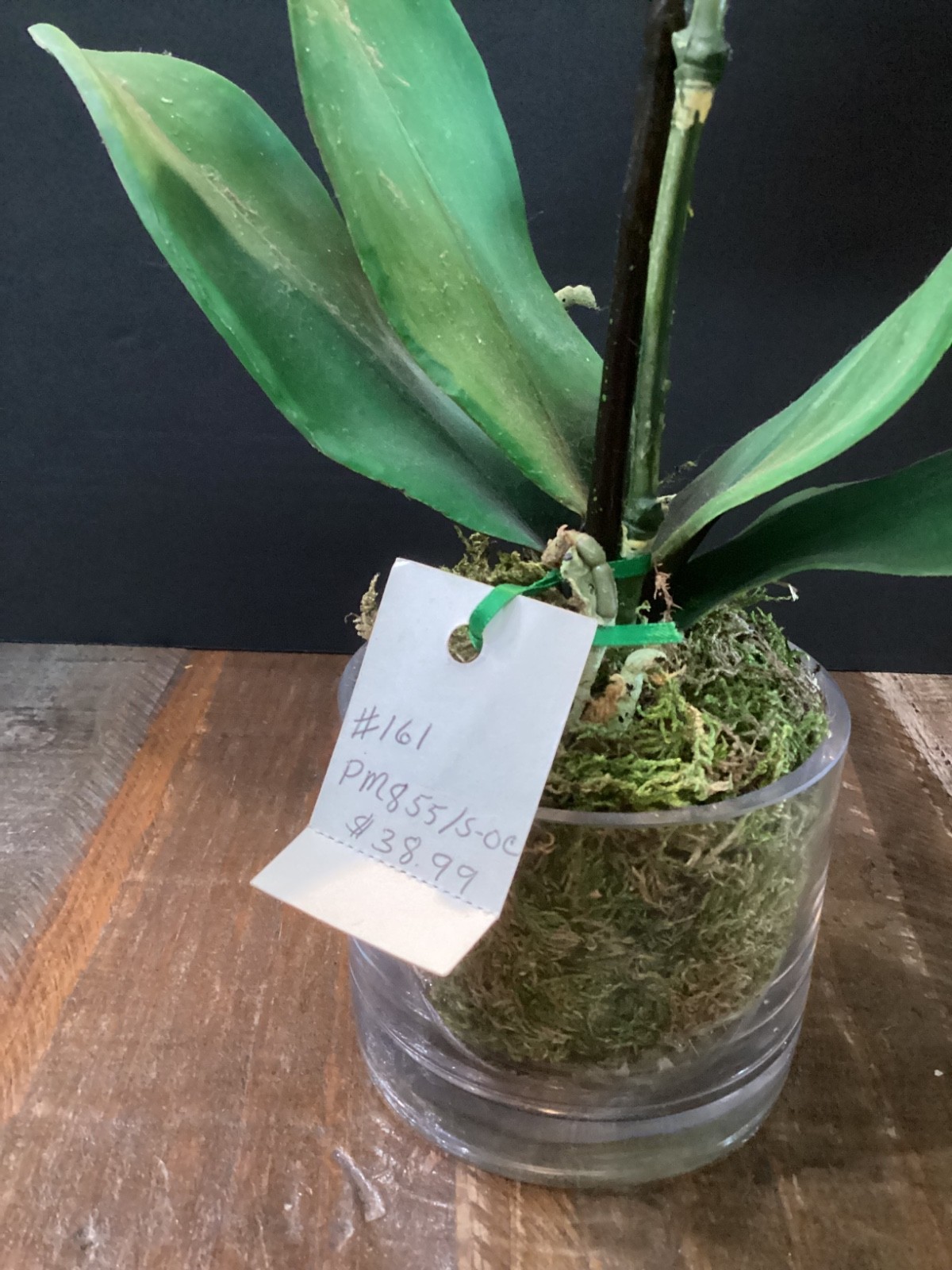 Realistic Artificial phalaenopsis Orchid plant in clear glass vase w/green moss