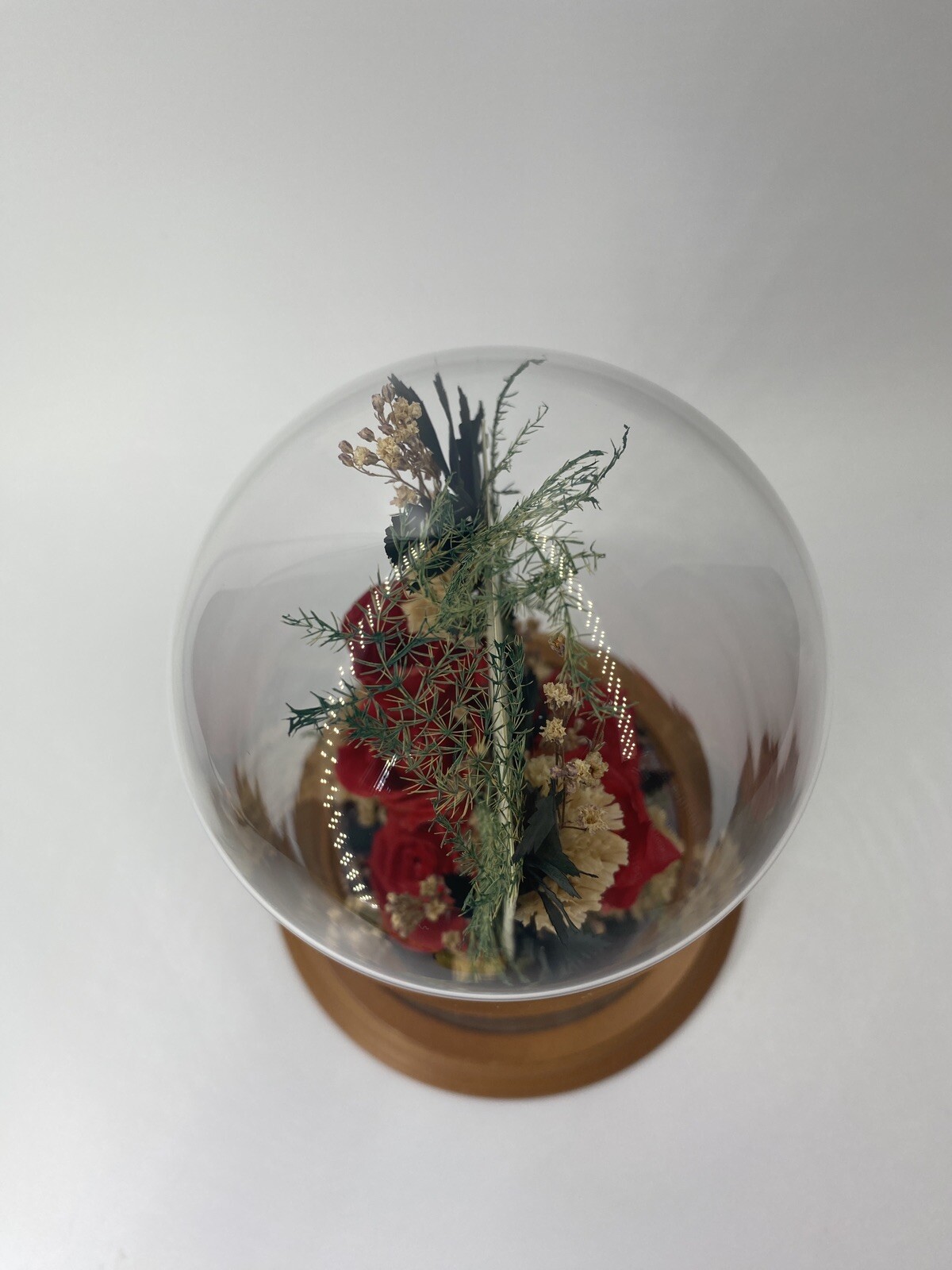 Vintage Dried Red Roses Flower Arrangement Preserved in 7.5” Glass Dome