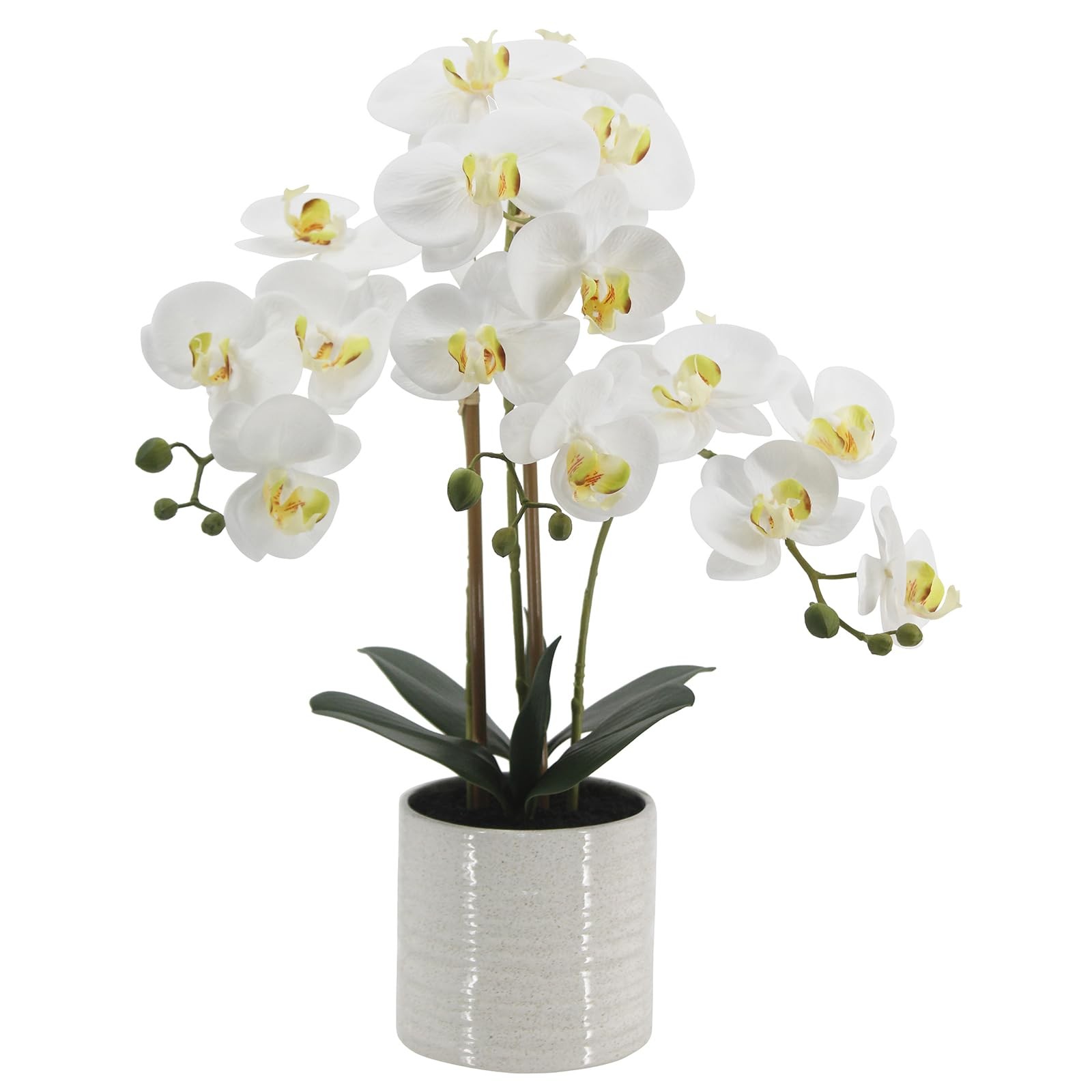 Fake Orchid Plant 23 Inch Tall Realistic Touch Leaves Potted Phalaenopsis White