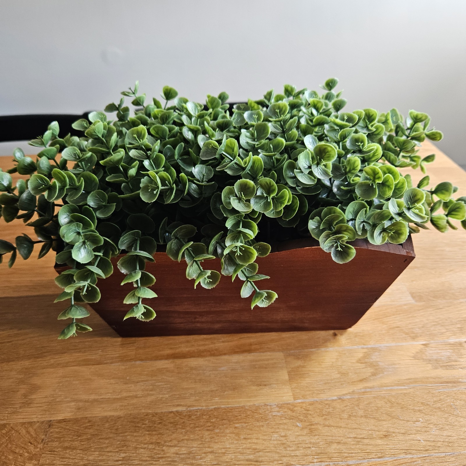 Faux Eucalyptus Boxwood with Cascading Leaves