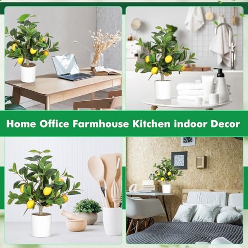 Pcs Artificial Lemon Tree 15.7 Inches Fake Artificial Potted 2 White Pot